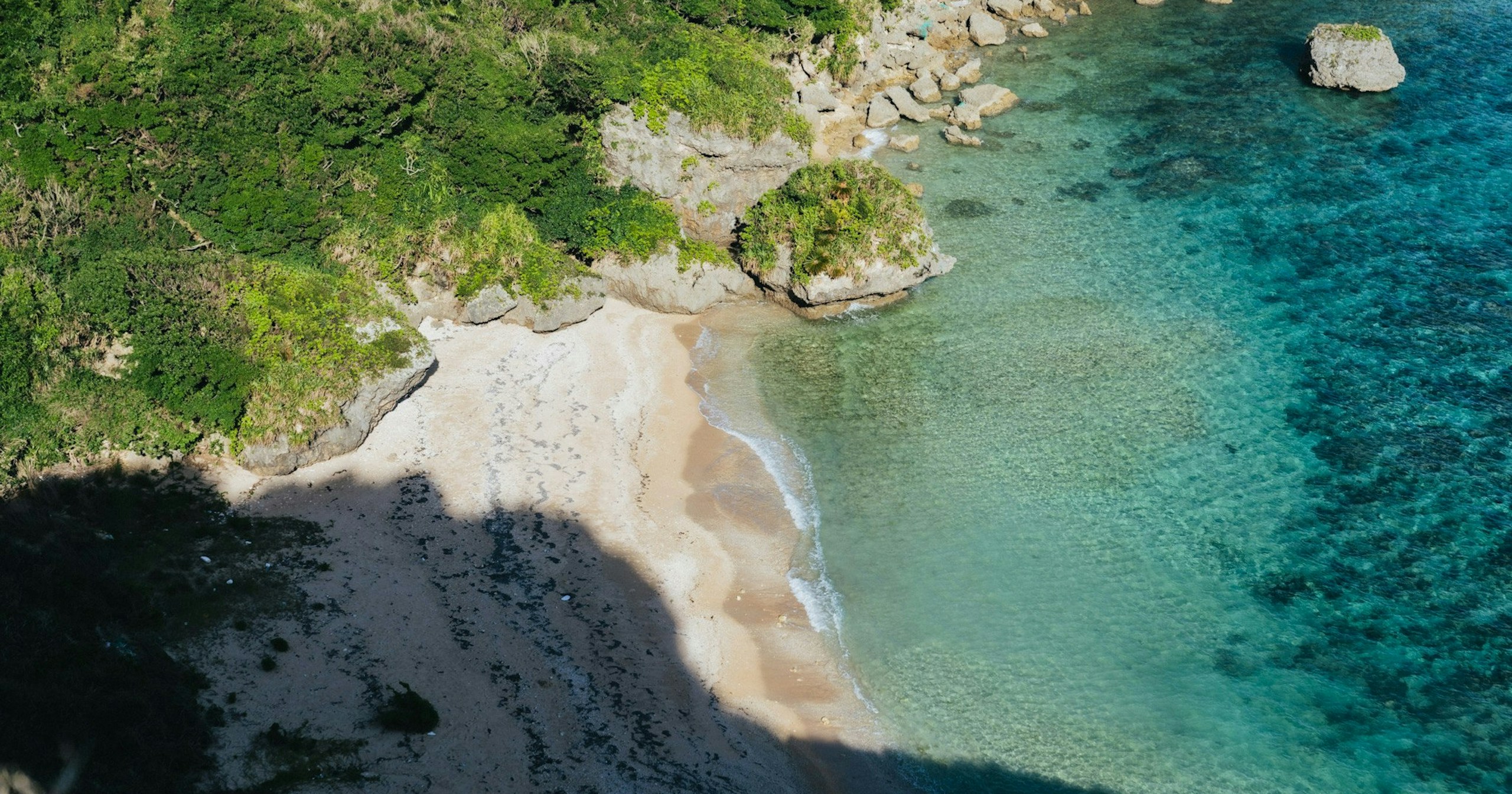 Discover the Perfect Shot Moment with AI Weather Model 'GenCast' | Release #395