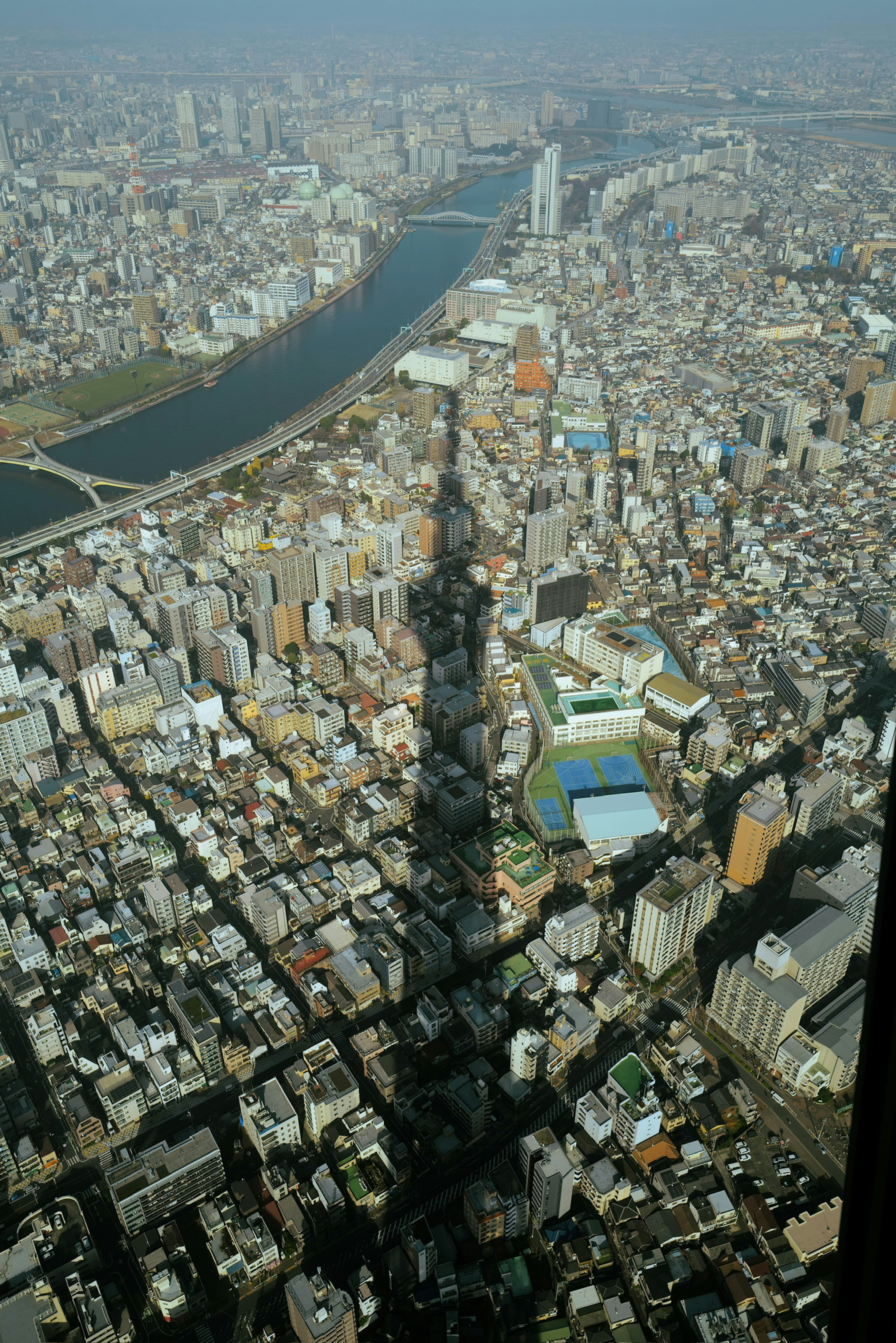 2024-02-skytree-image-8