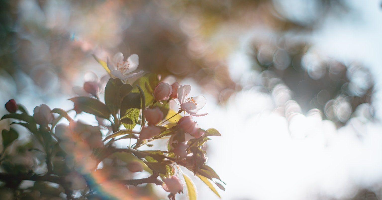 2024-09-vintage-camera-boom-analog-charm-cover-image