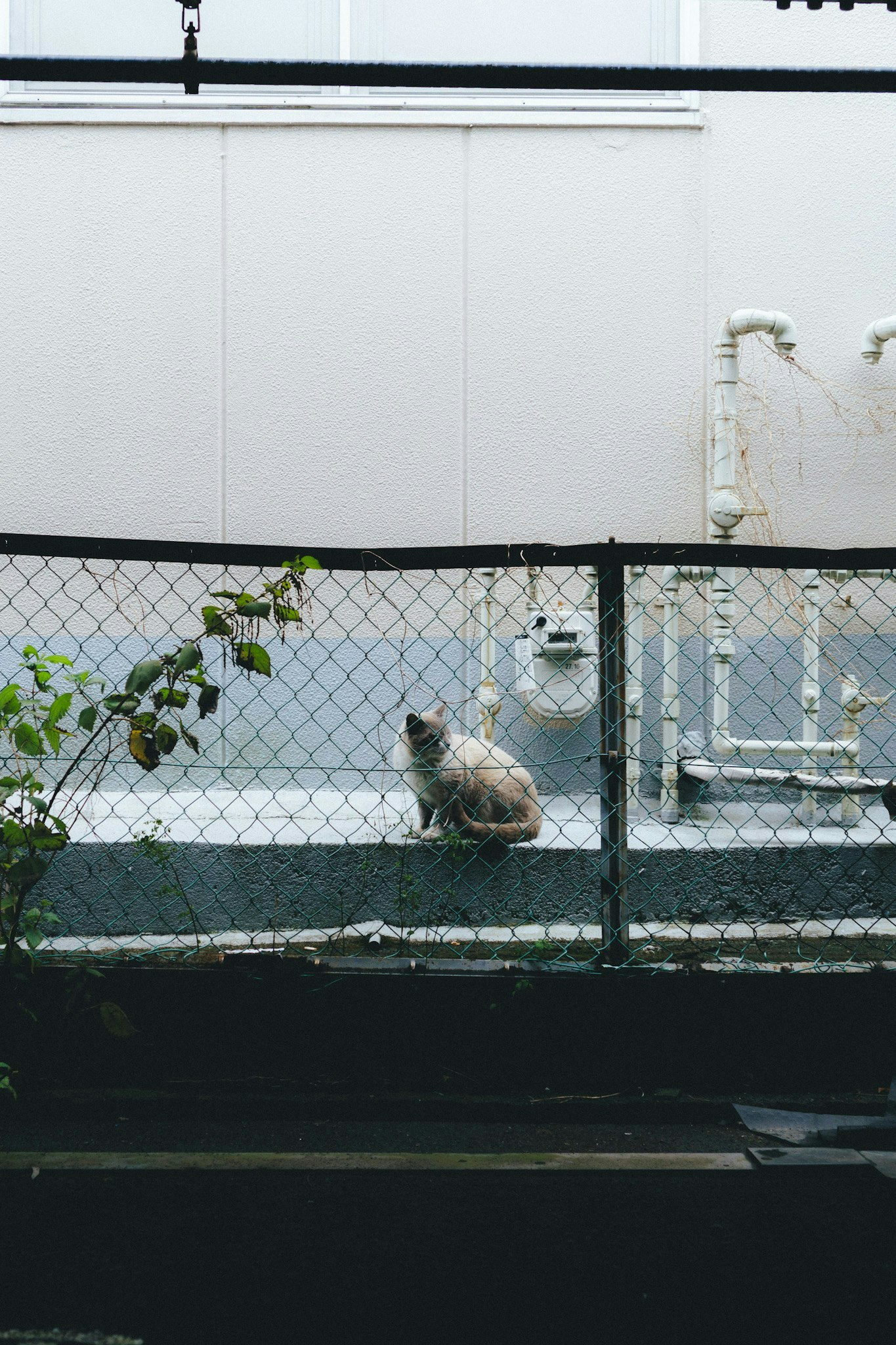 2025-03-fragments-of-memory-image-12