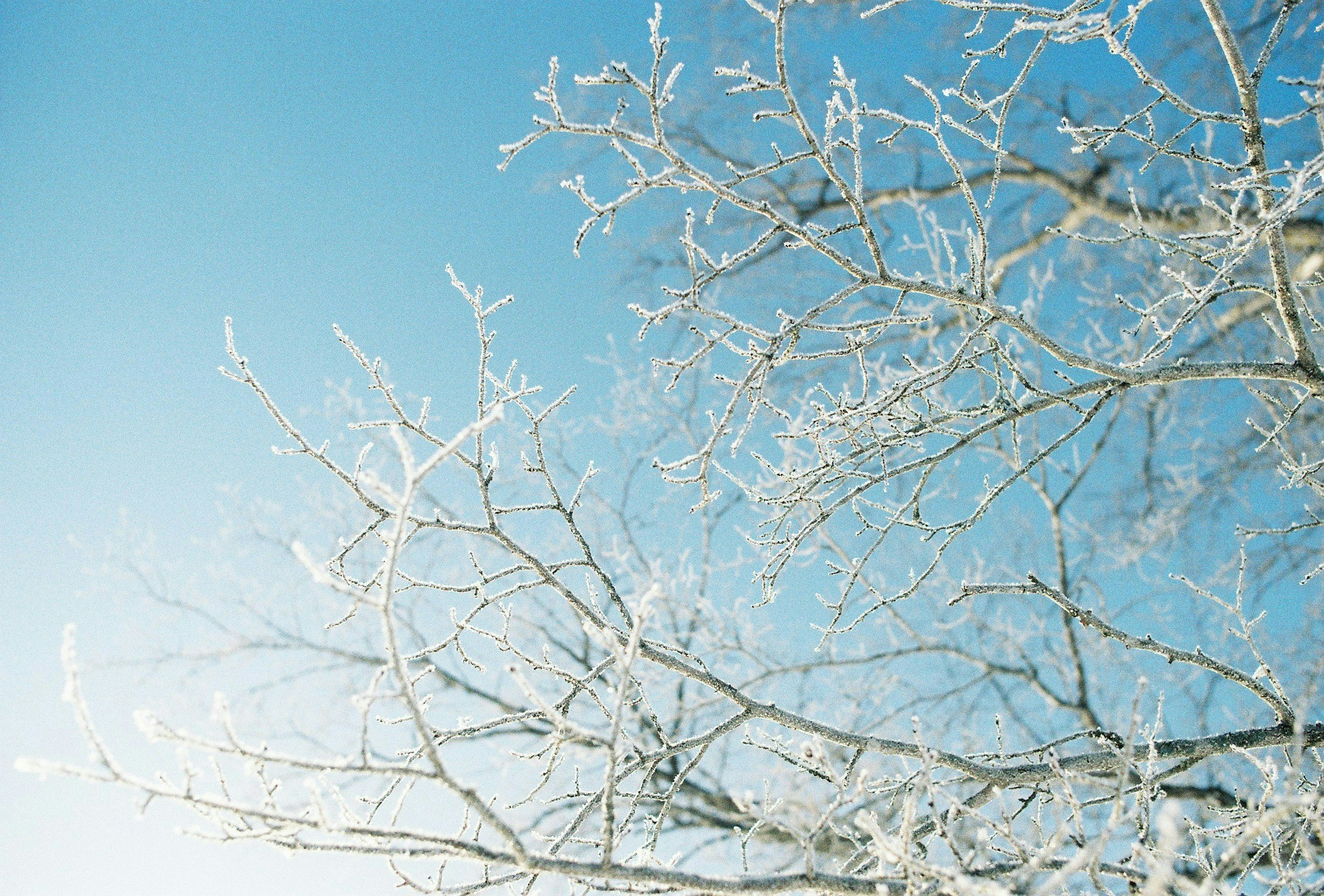 2025-05-remm-meets-film-image-6
