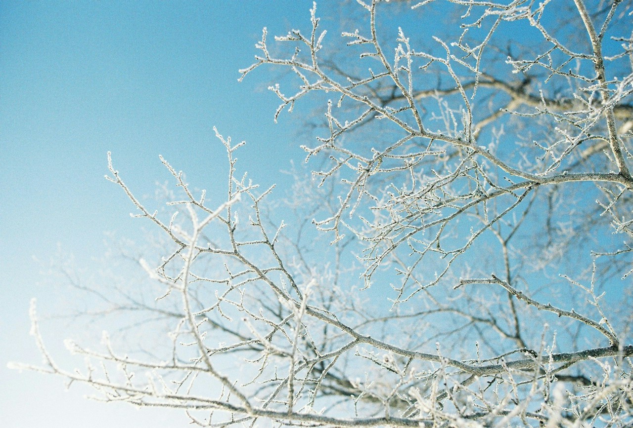 Photo by れむ-remm-