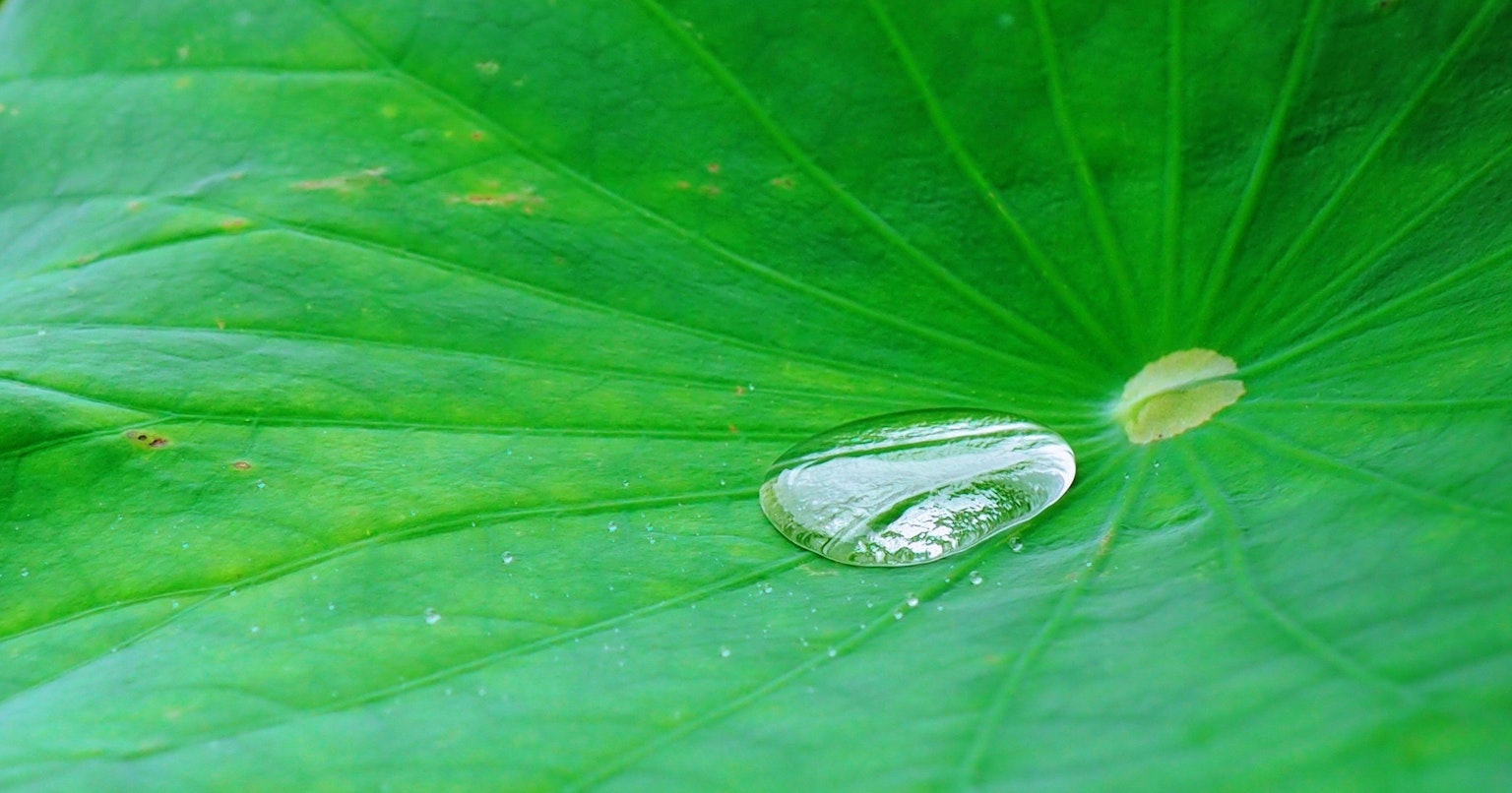 2023-07-green-day-cover-image