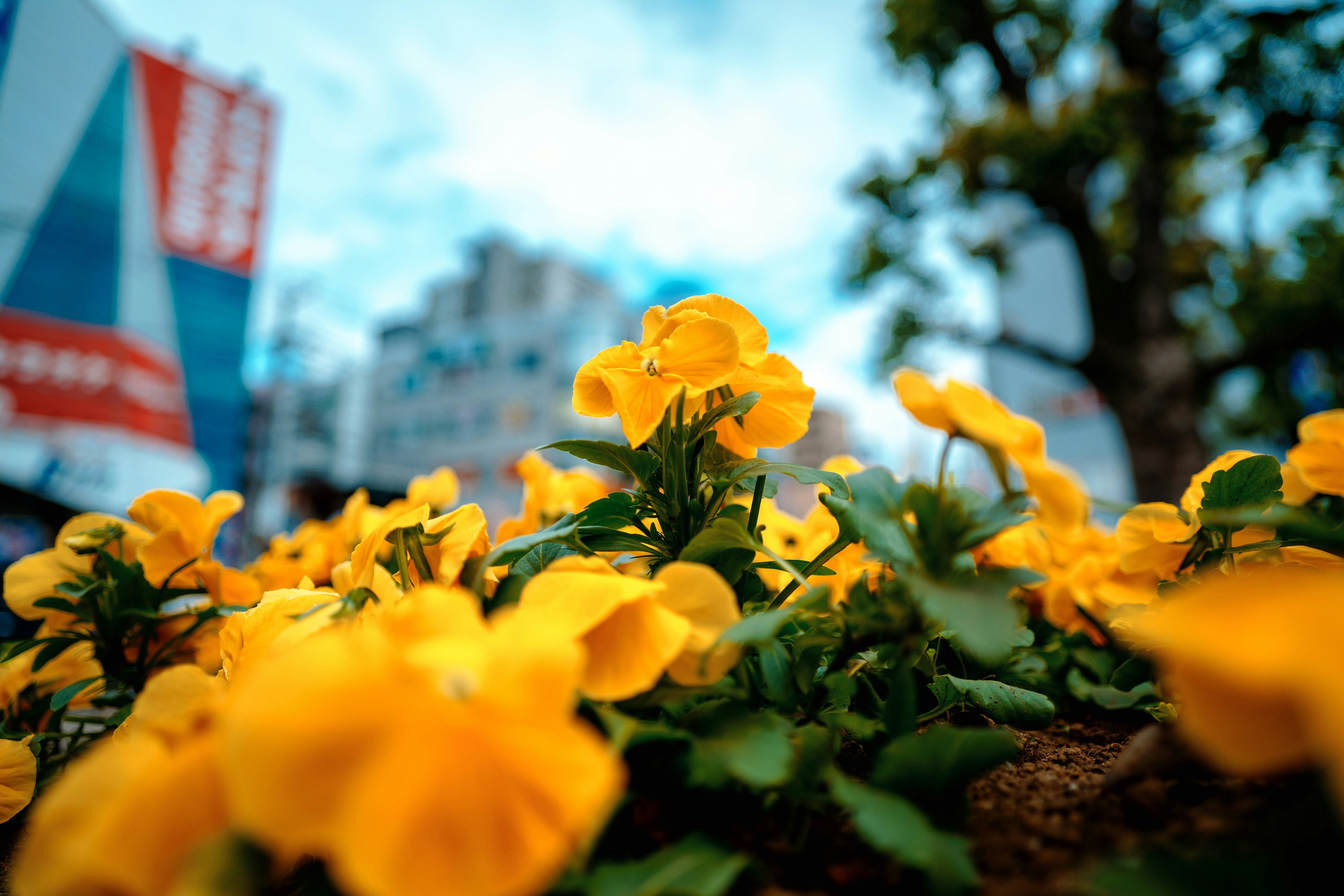 2026-05-bokeh-report-image-7