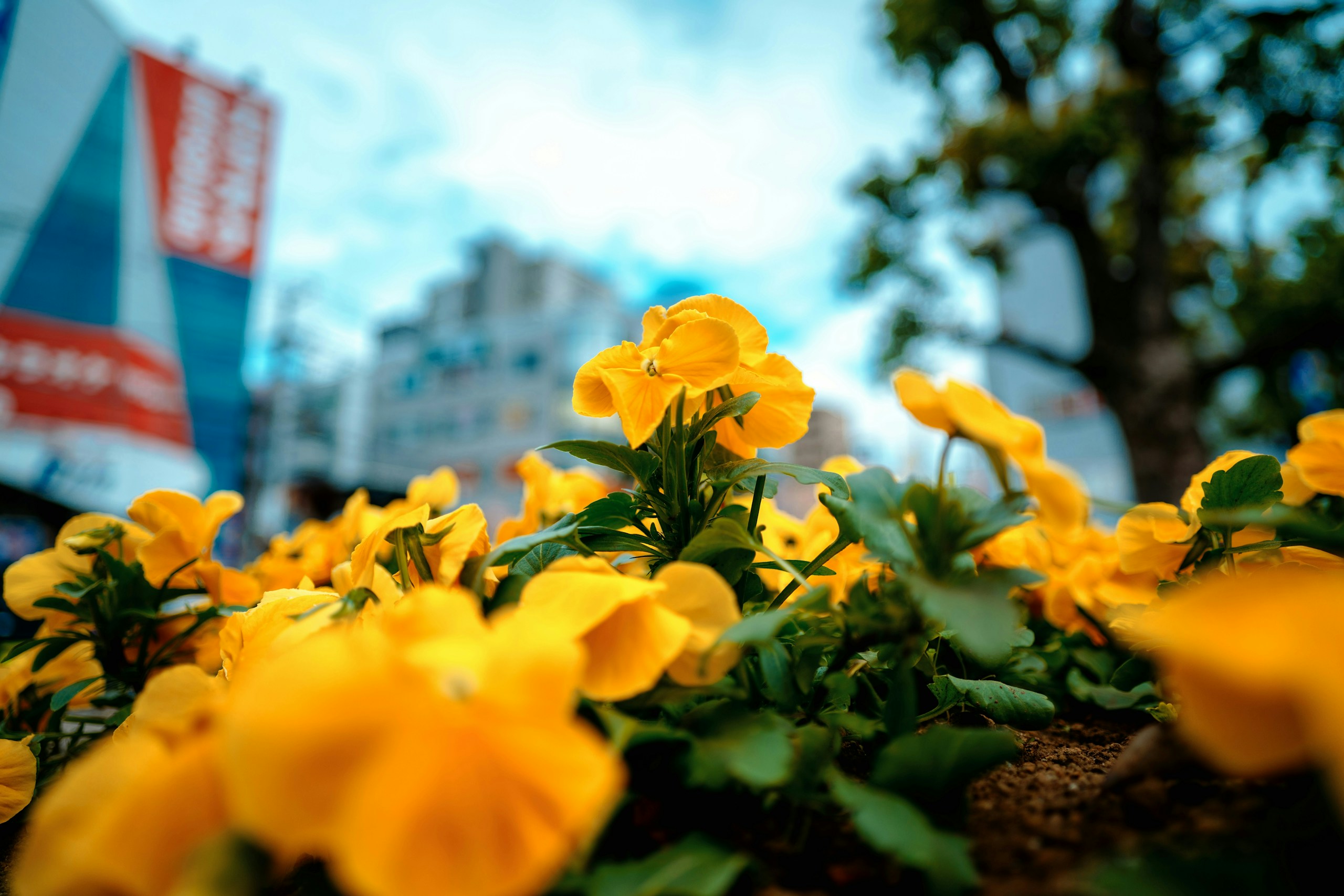 2026-05-bokeh-report-image-7