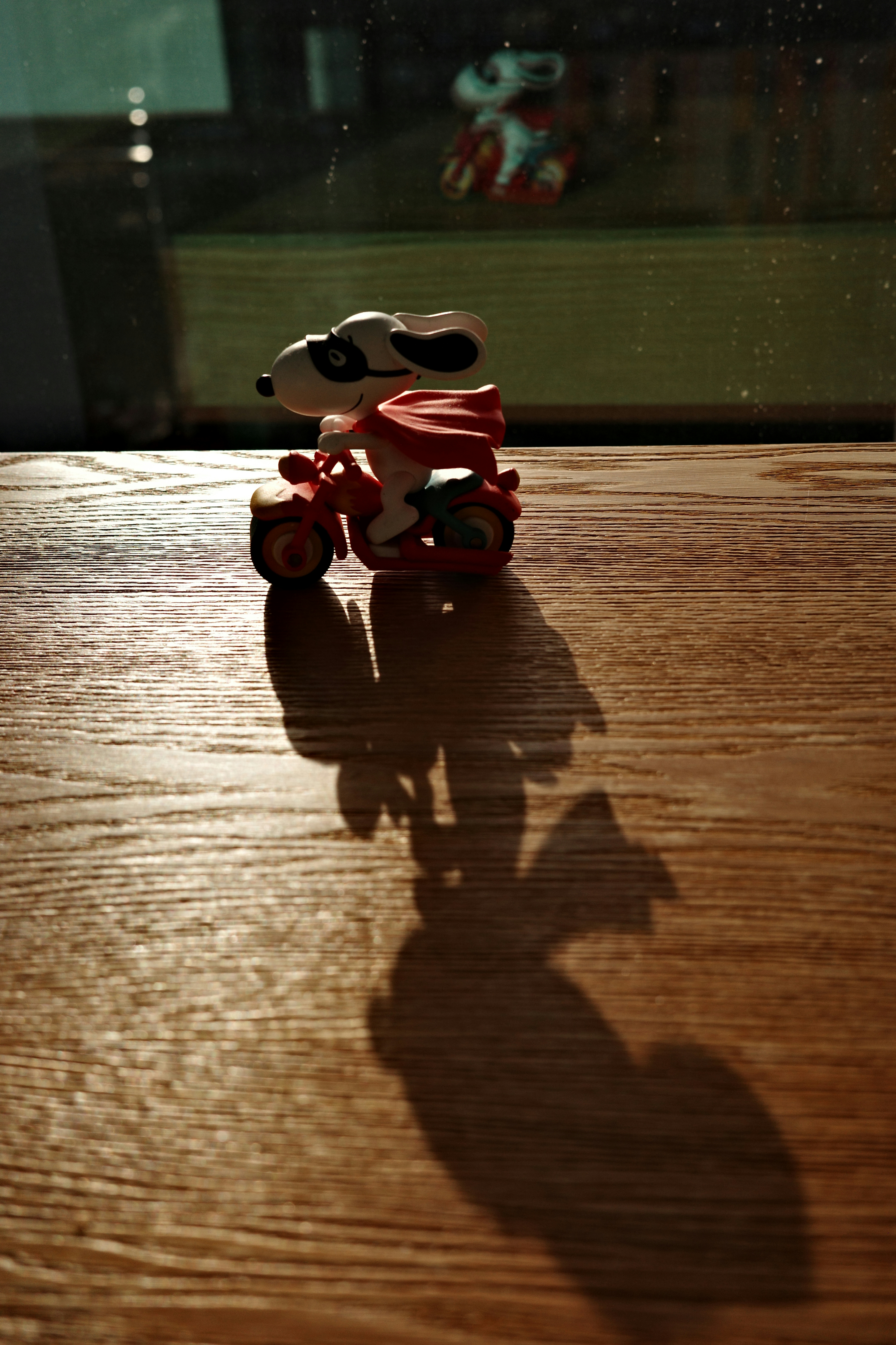 2026-05-where-light-falls-award-image-6