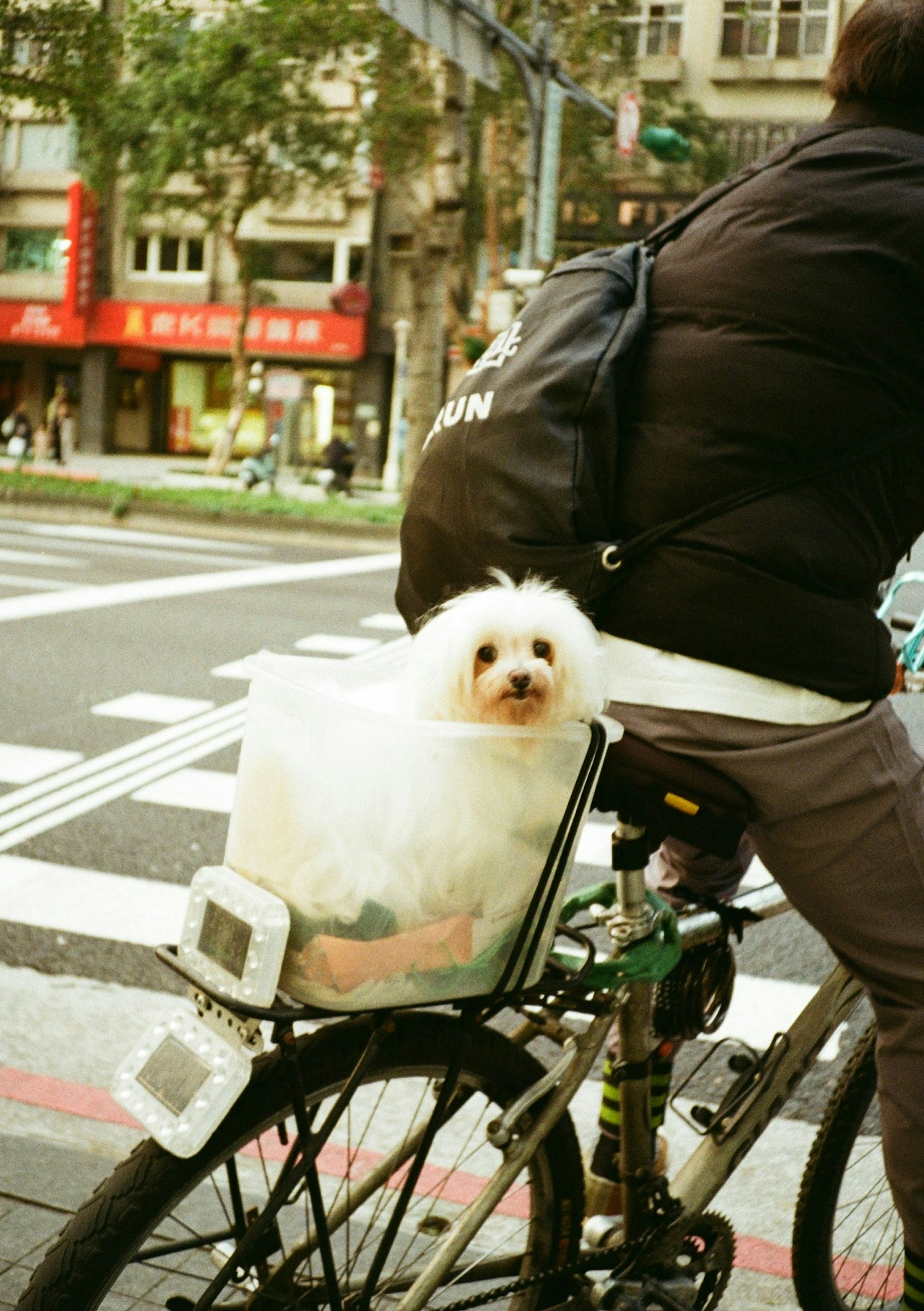 Photo by 名