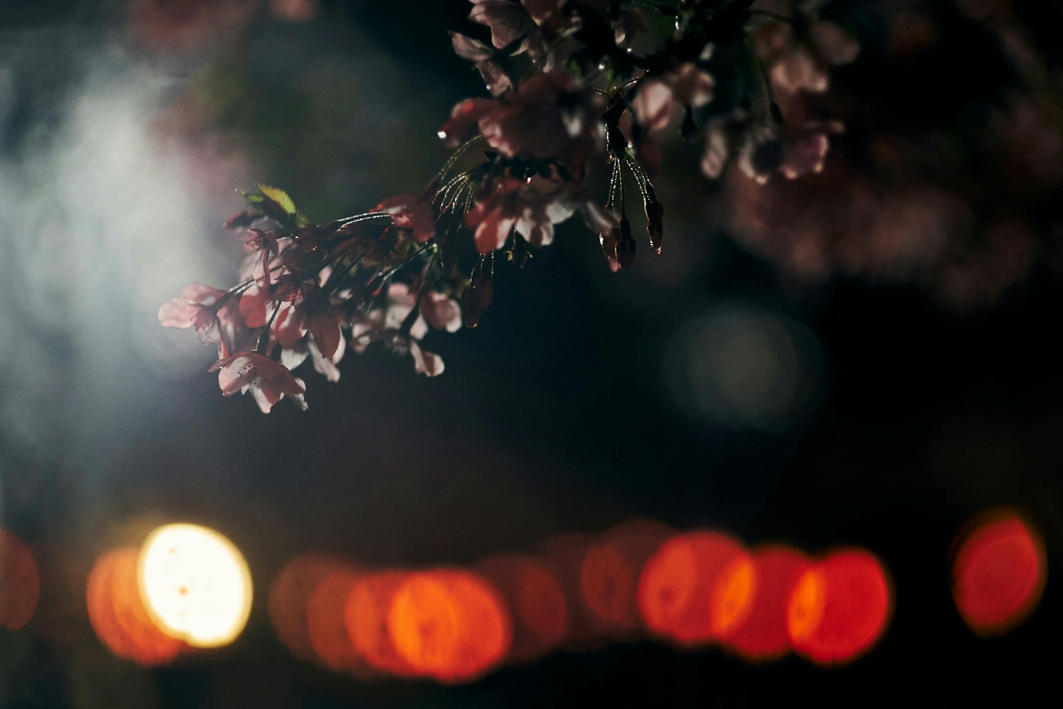 2026-04-stay-inspired-photography-image-15