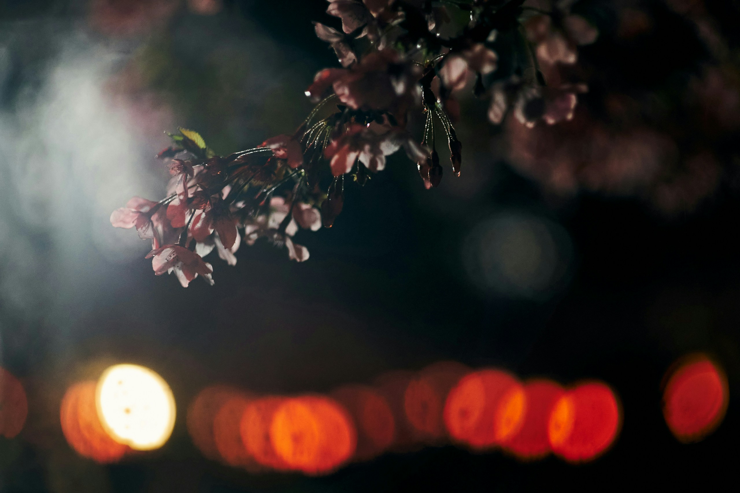 2026-04-stay-inspired-photography-image-15