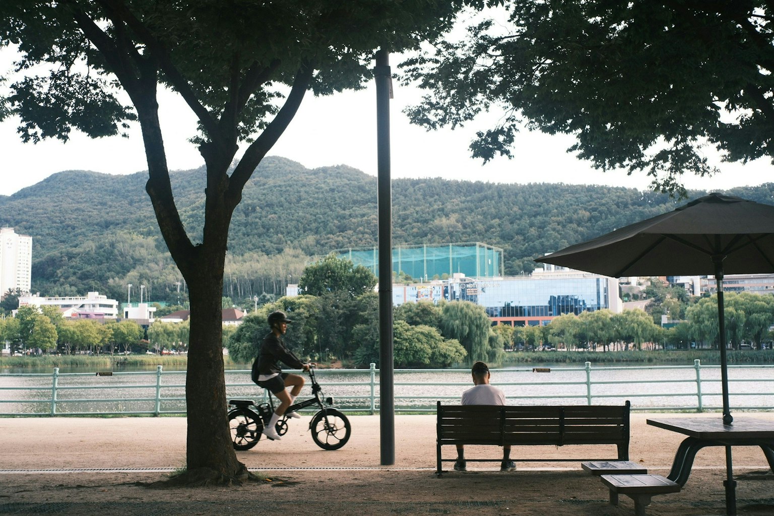 2025-11-pick-up-photos-no-239-243-image-3