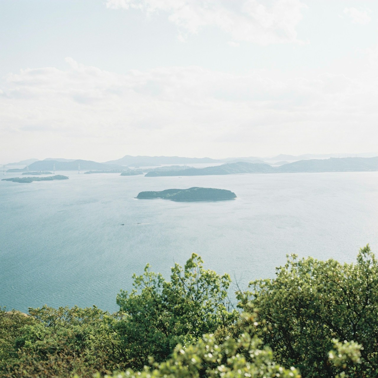 Image by Kento Hirasue