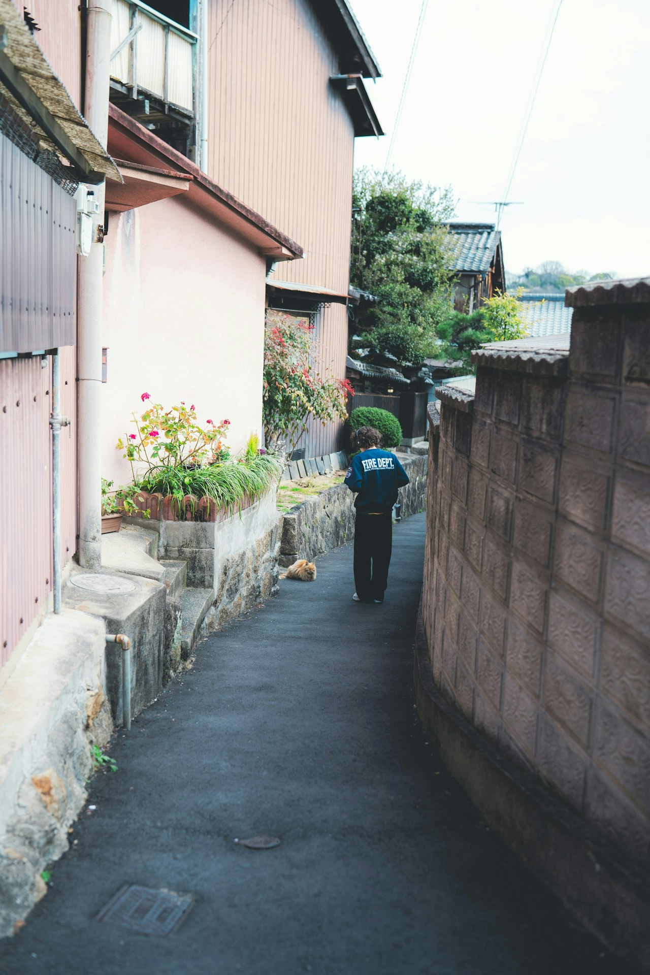 Photo by masato_a
