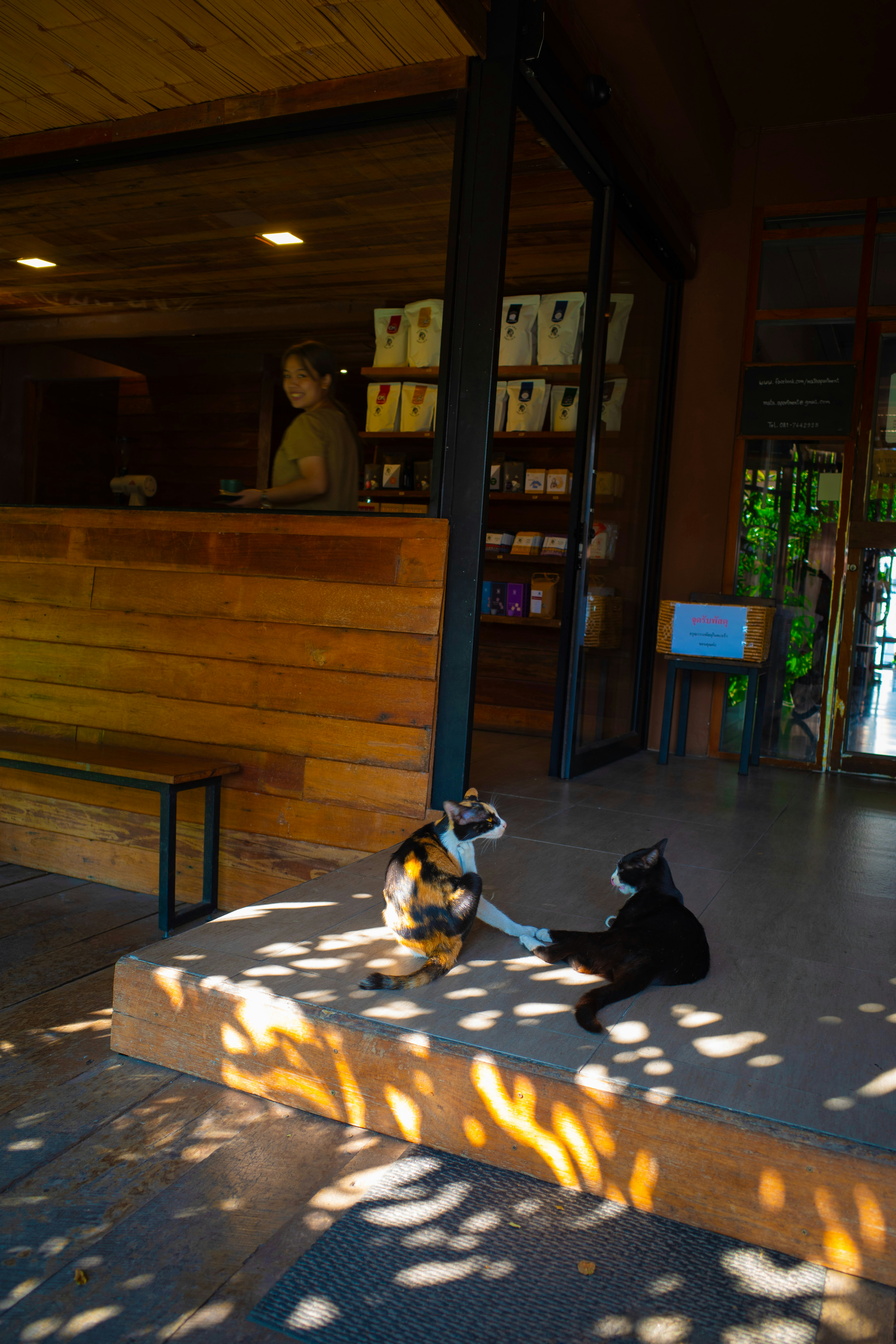2026-03-thailand-chiengmai-spots-by-masashi7069-image-4