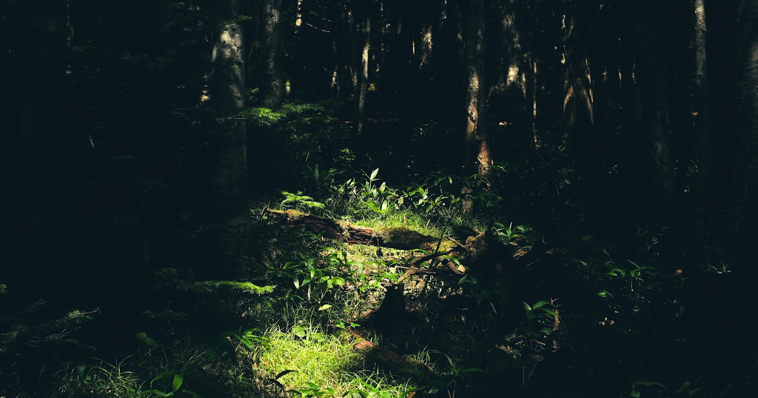 2025-10-ppp-in-sapporo-cover-image