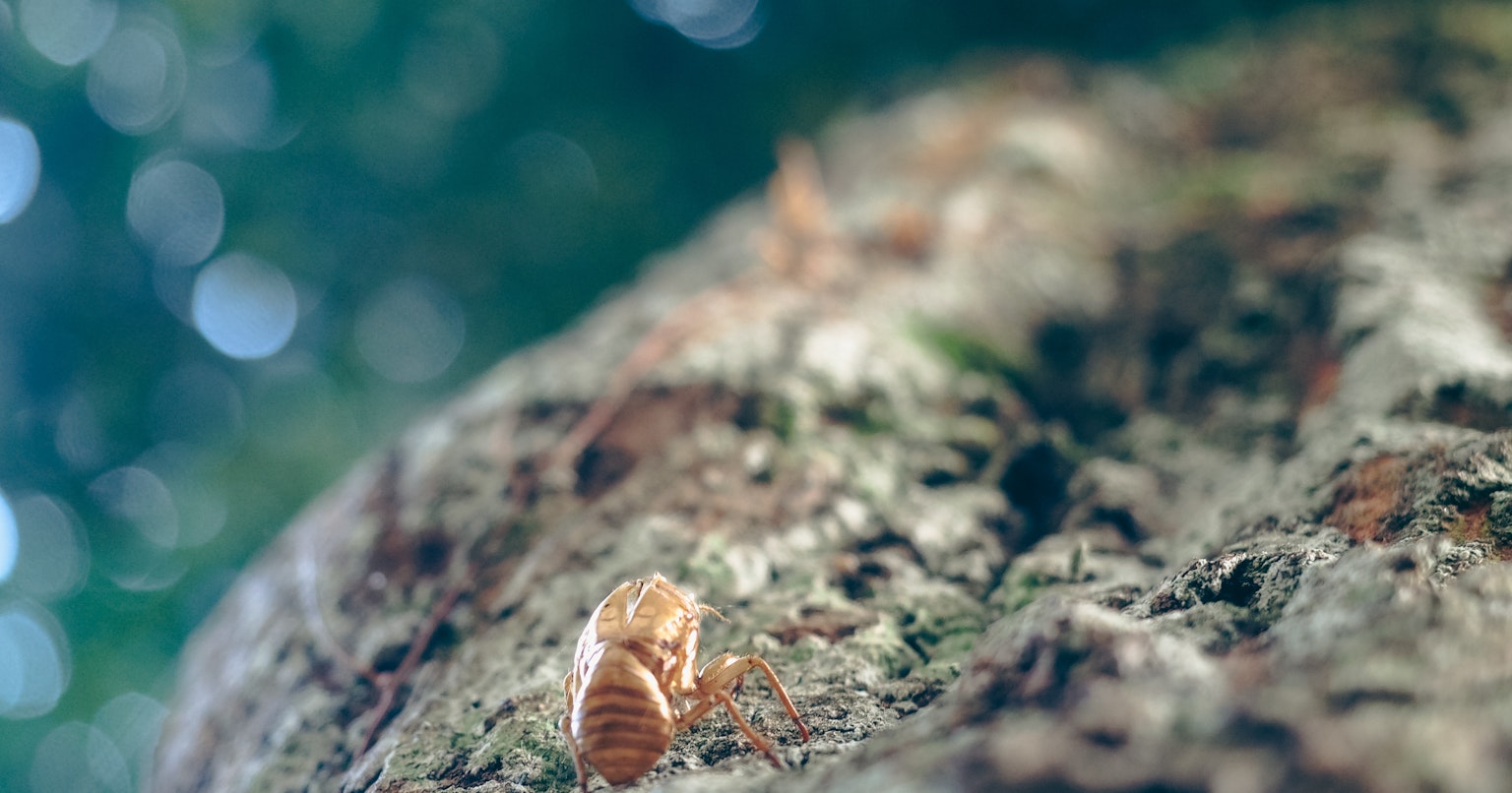 2024-06-emotional-tech-cover-image