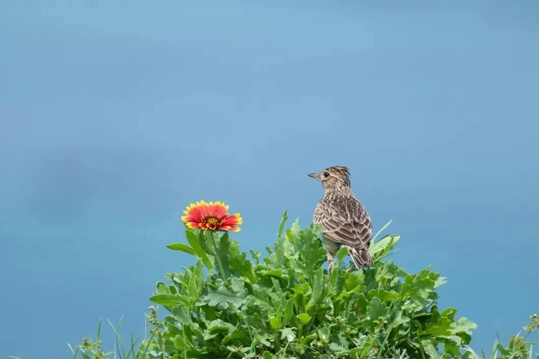 Foto von 吳茂億