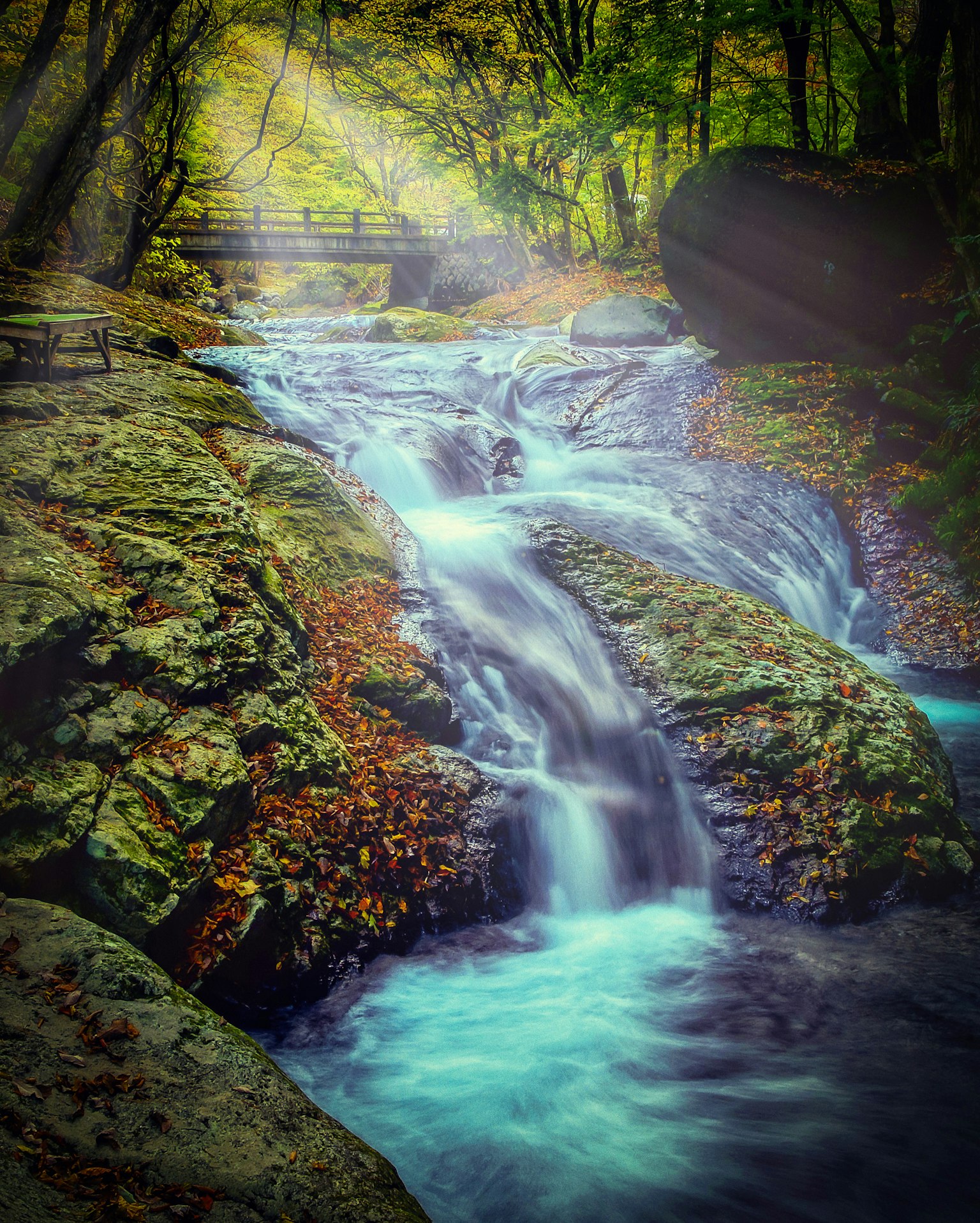 2024-02-new-year-resolution-award-image-10