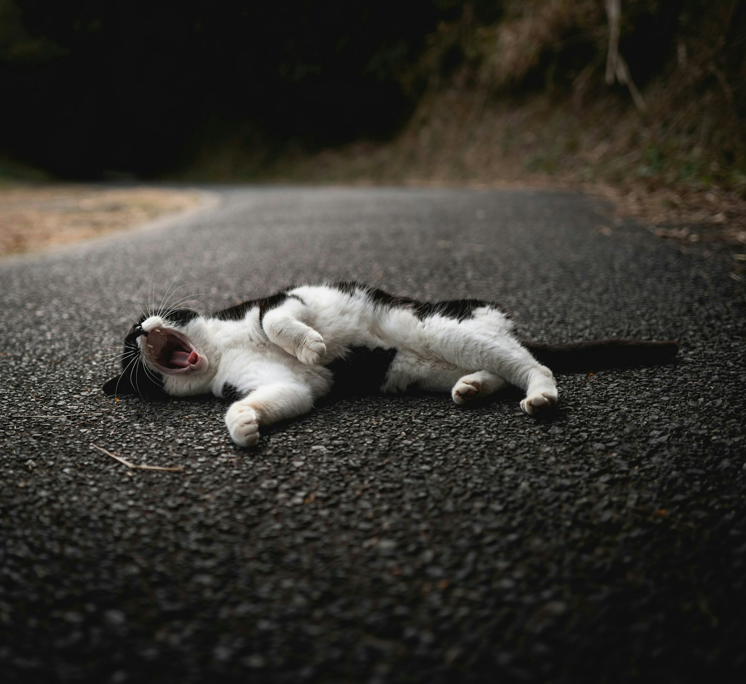 2025-11-rediscover-compact-cameras-image-8