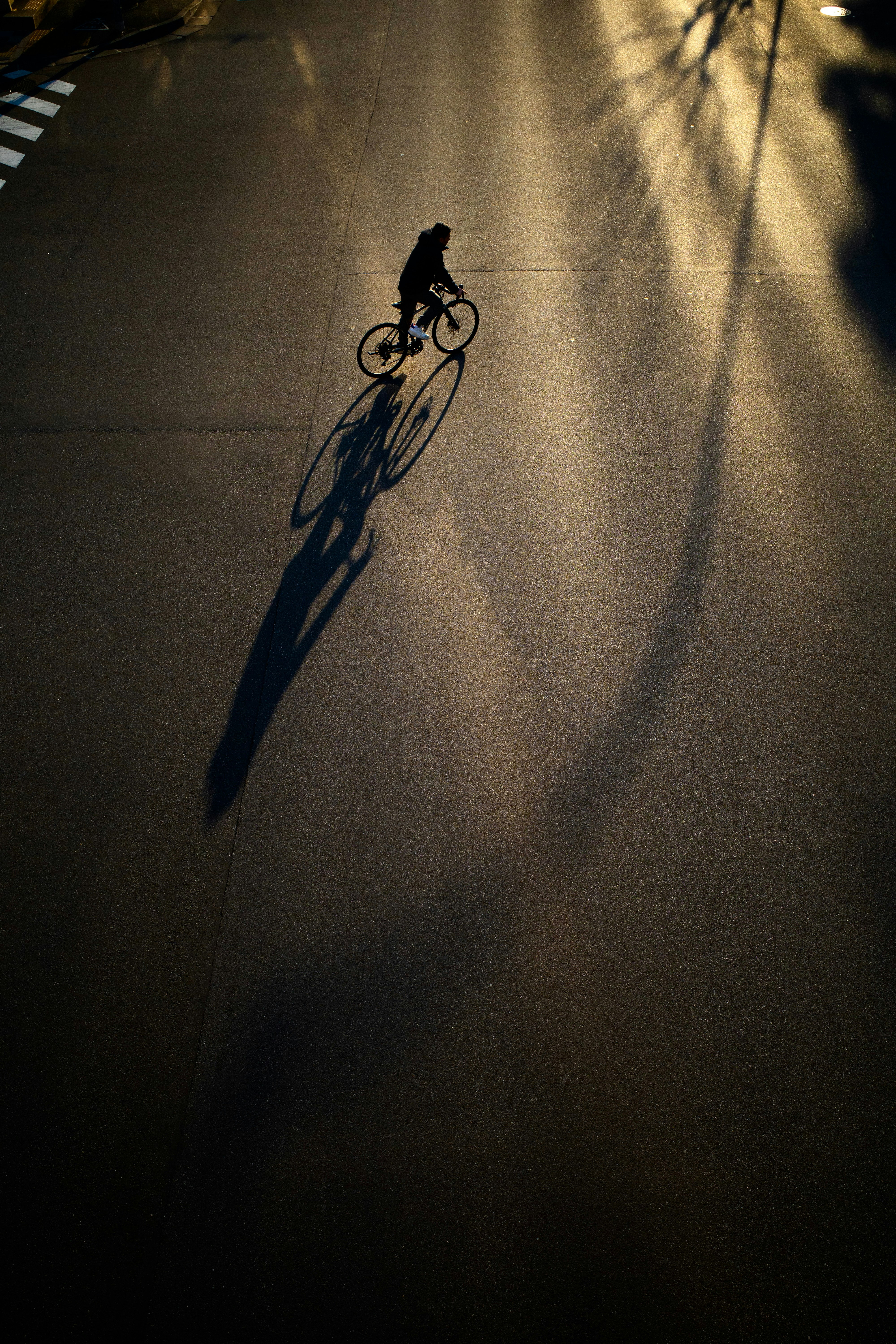 2026-02-beyond-the-subject-image-8