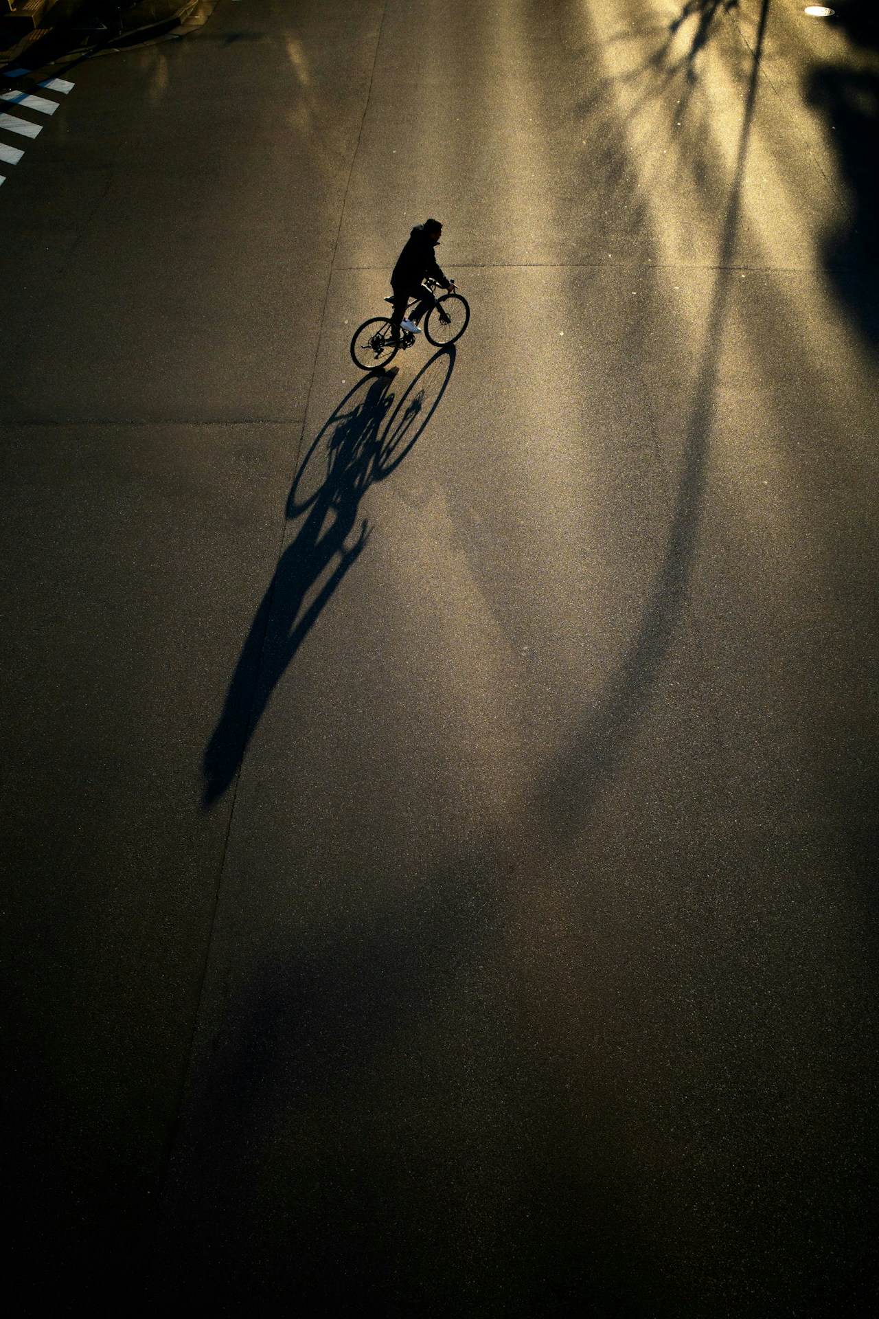 Photo by Motoko
