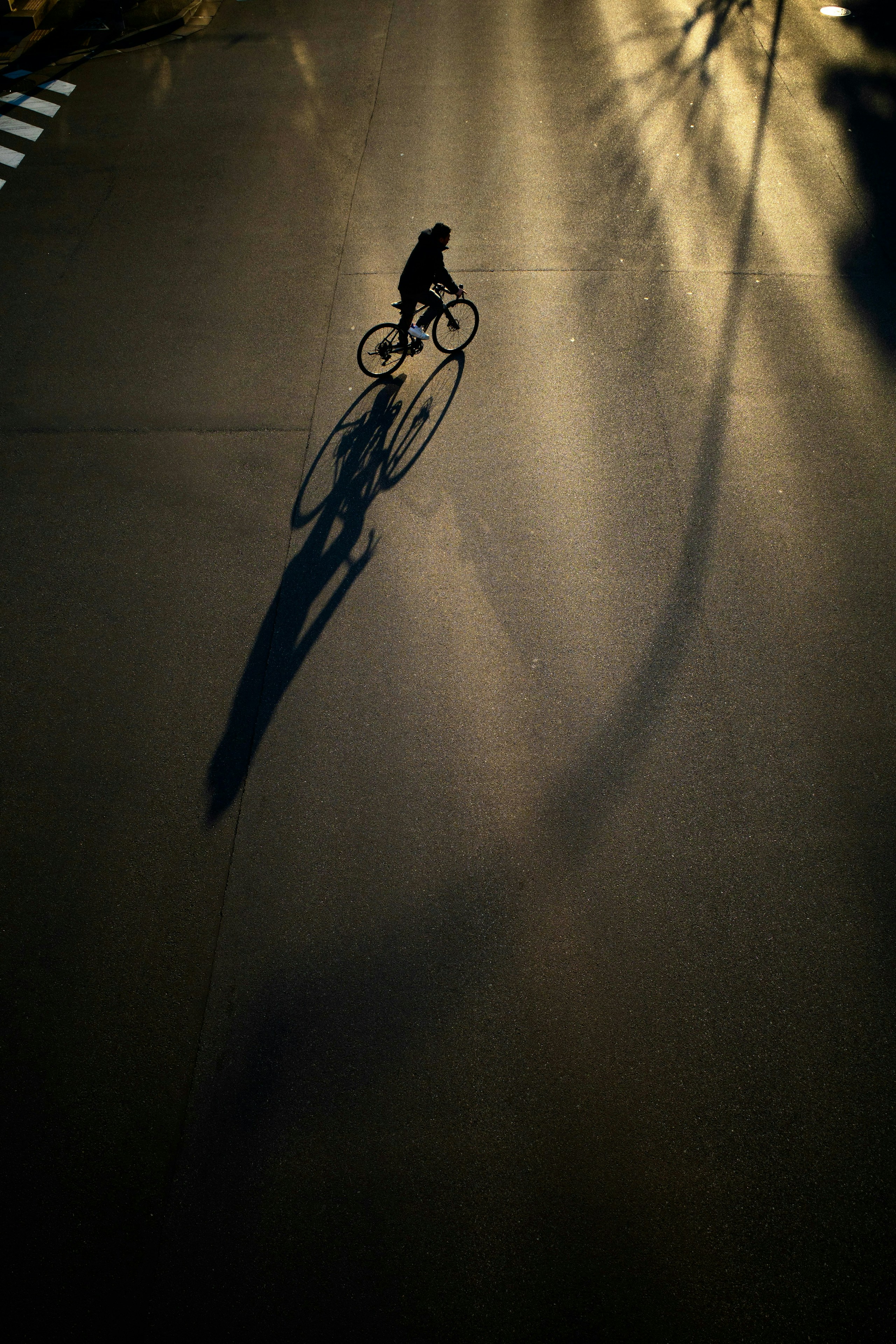 2026-02-beyond-the-subject-image-8