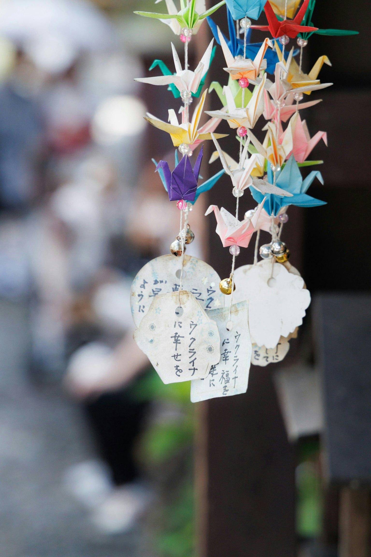 2025-11-message-image-5