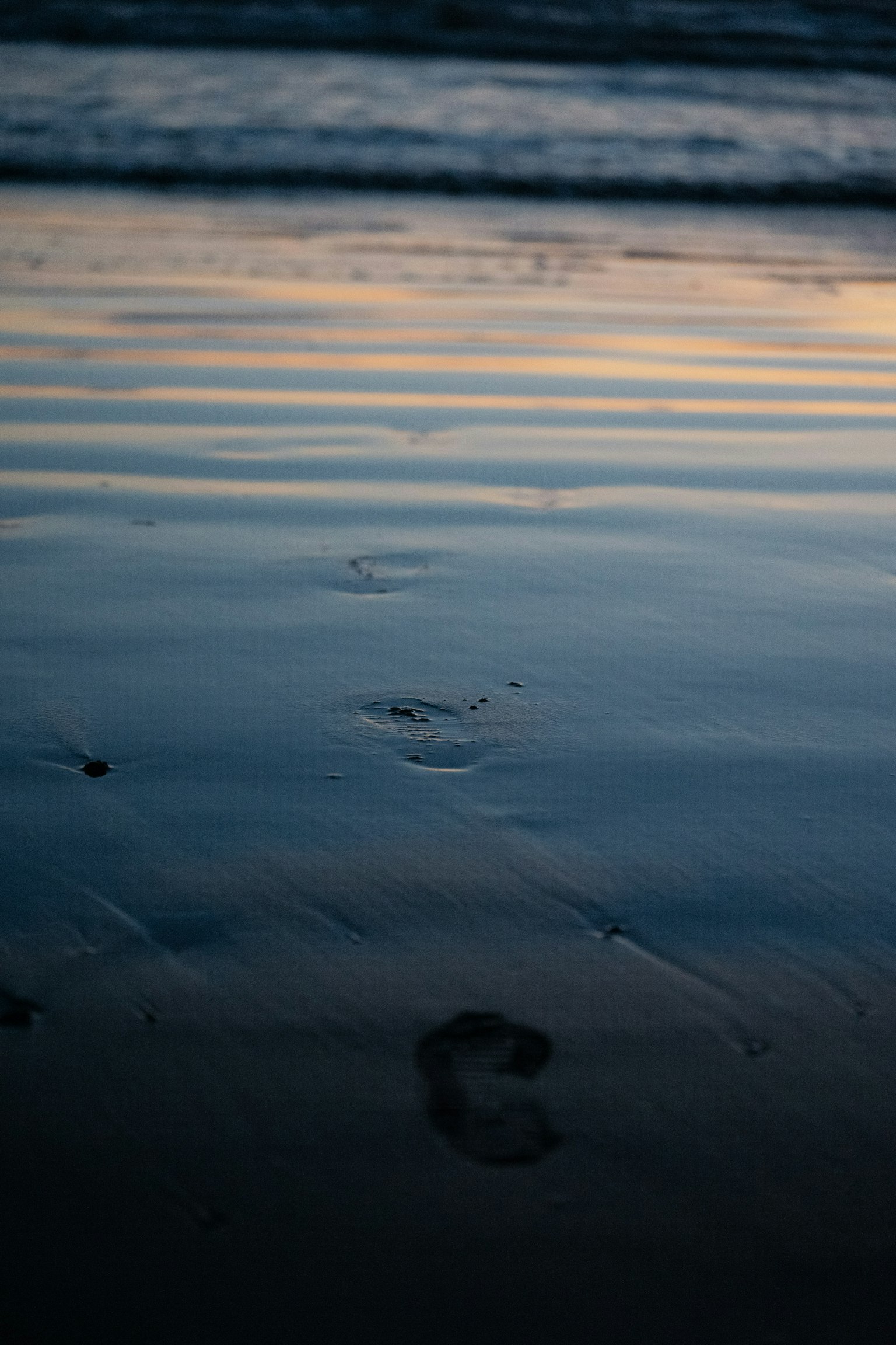 2025-03-steps-of-life-image-10