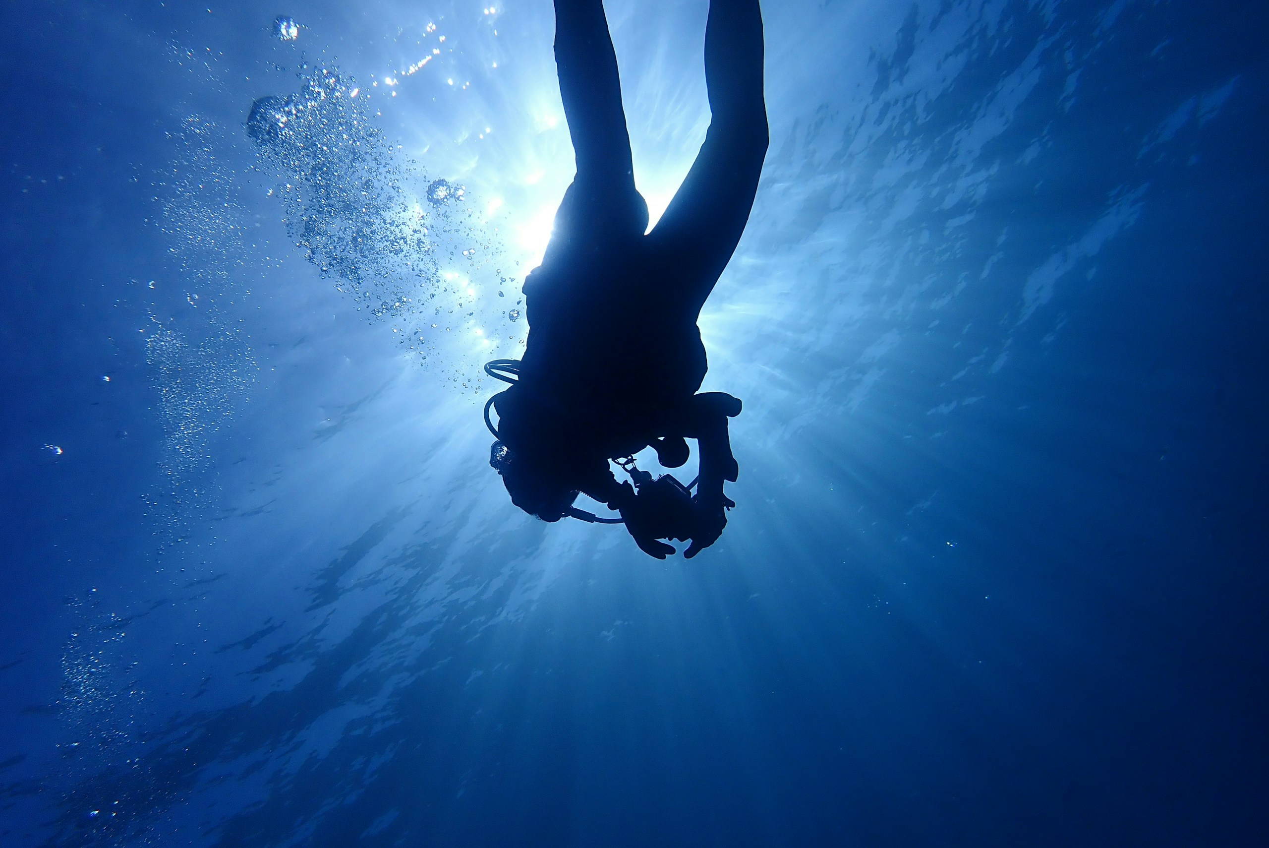 2026-02-another-world-under-the-water-image-8