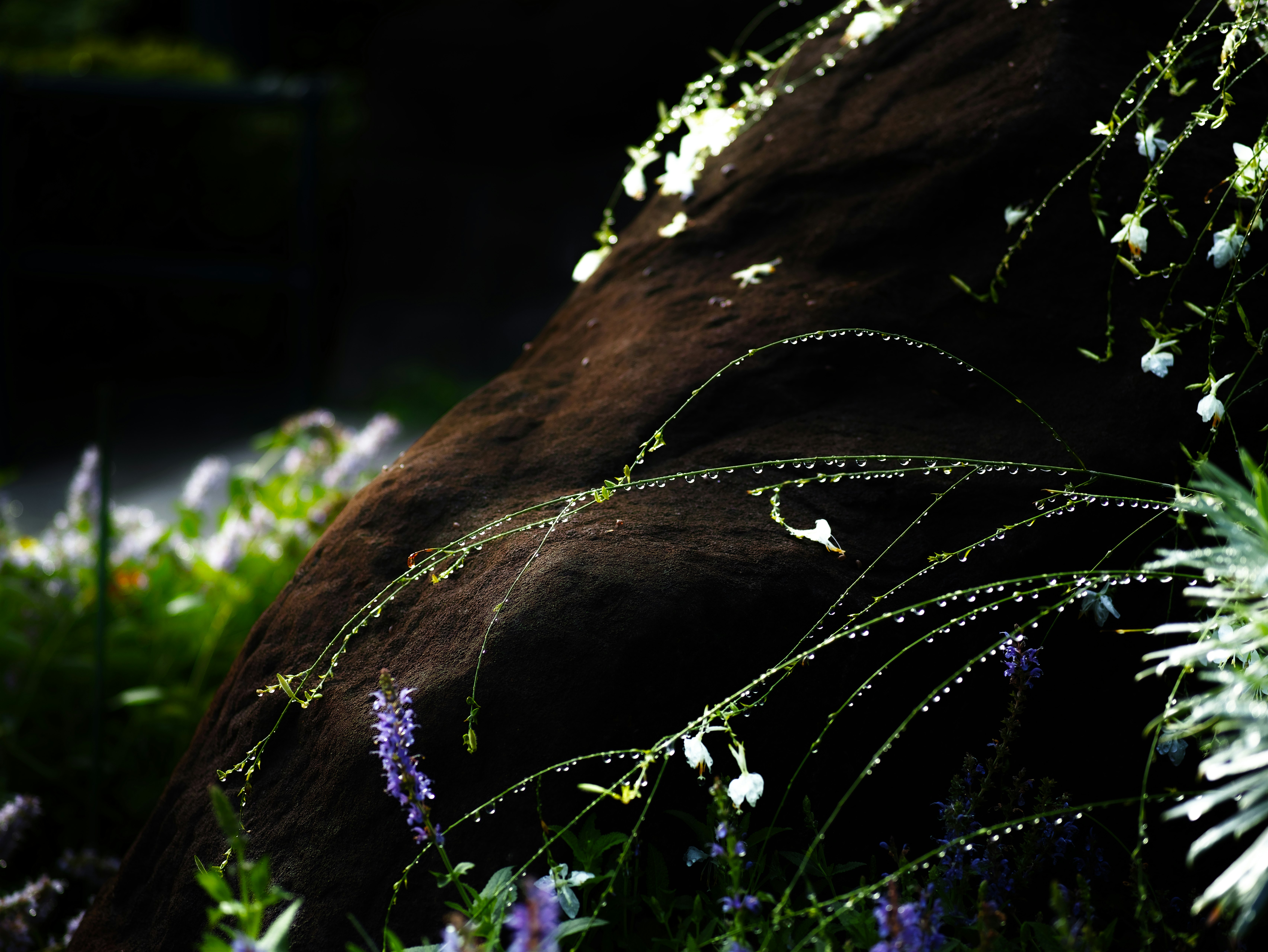 2025-10-pick-up-photos-no-224-228-cover-image