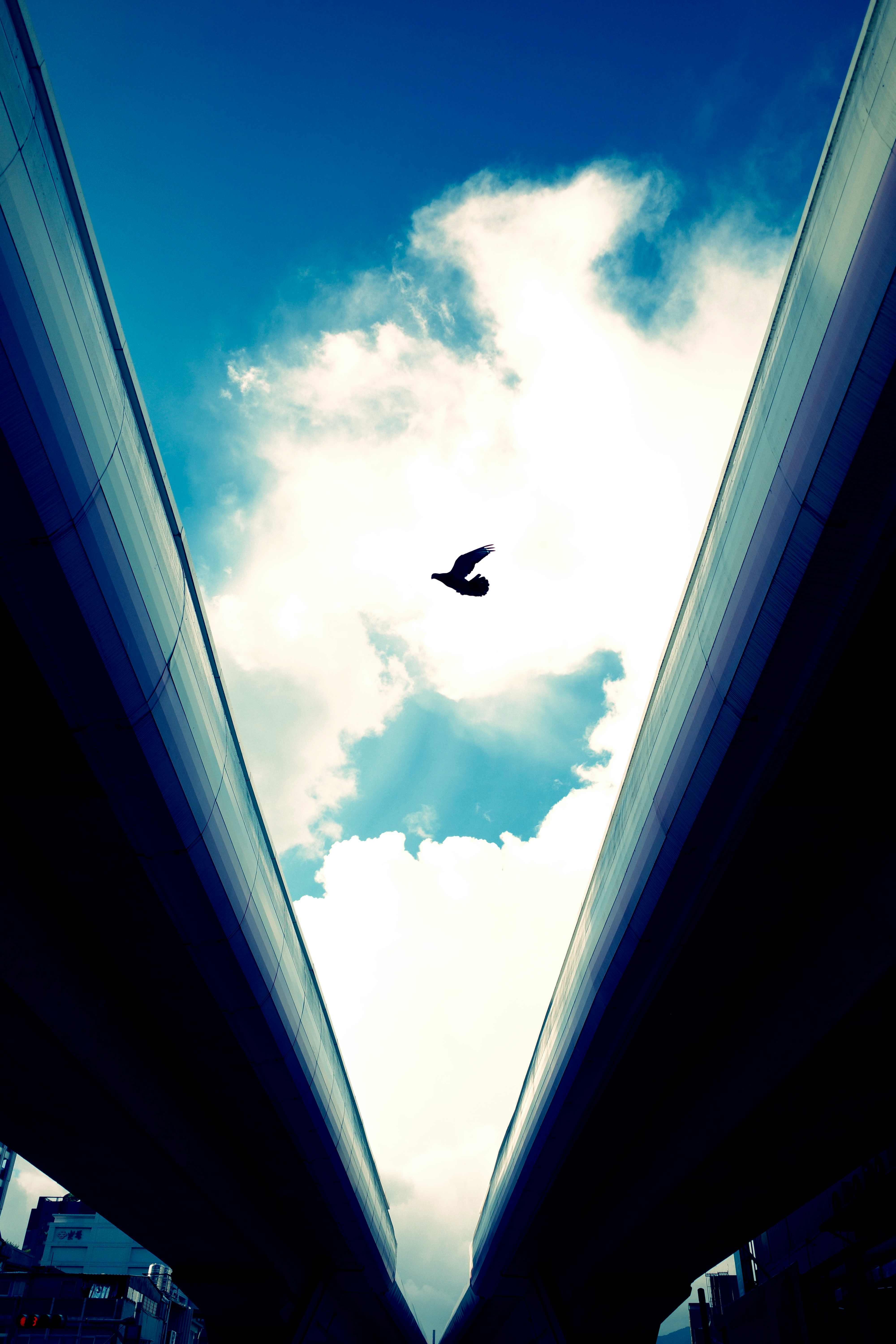 2026-05-find-new-pieces-blue-image-46