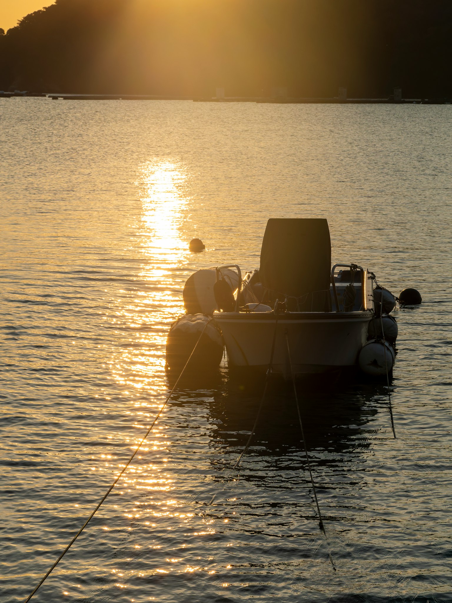 2024-03-backlight-photography-image-4