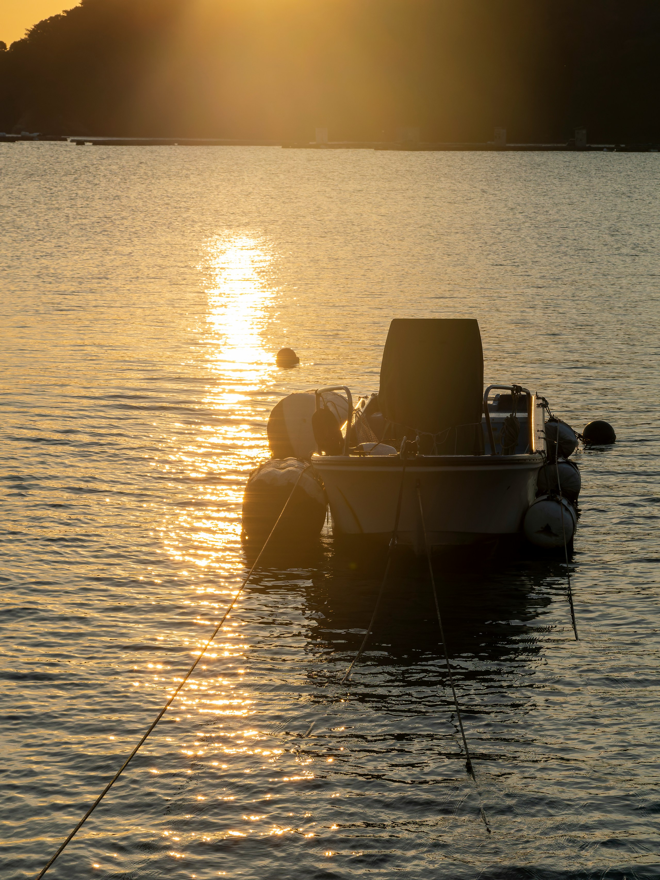 2024-03-backlight-photography-image-4
