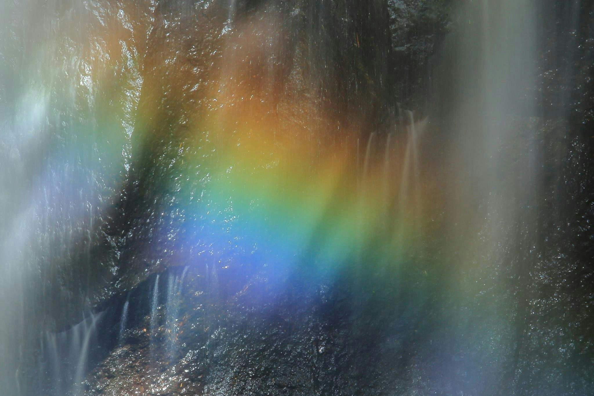 2026-05-in-the-rain-image-12