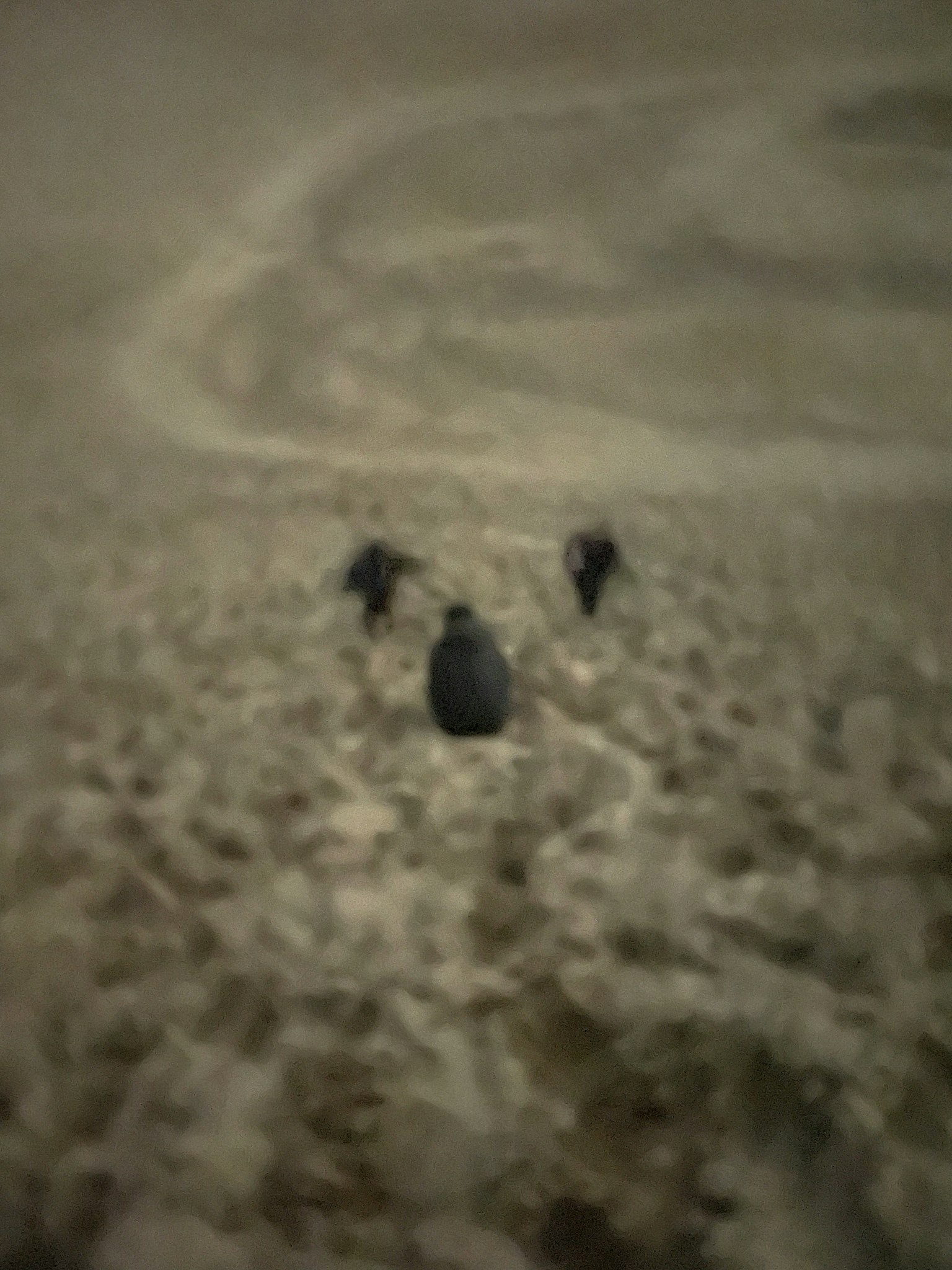 2025-09-solitude-photograph-resonance-image-11