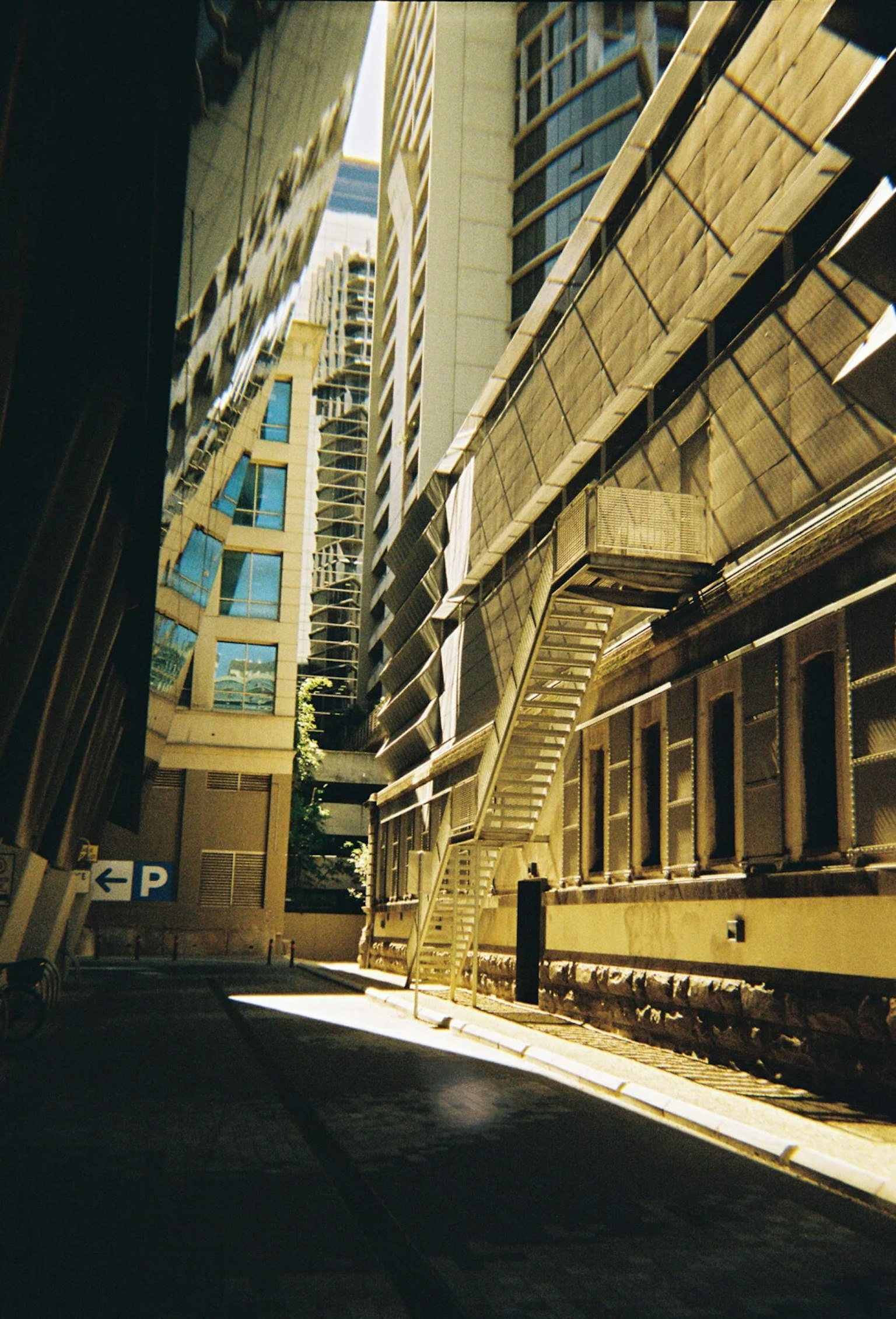 2024-05-film-never-die-image-11