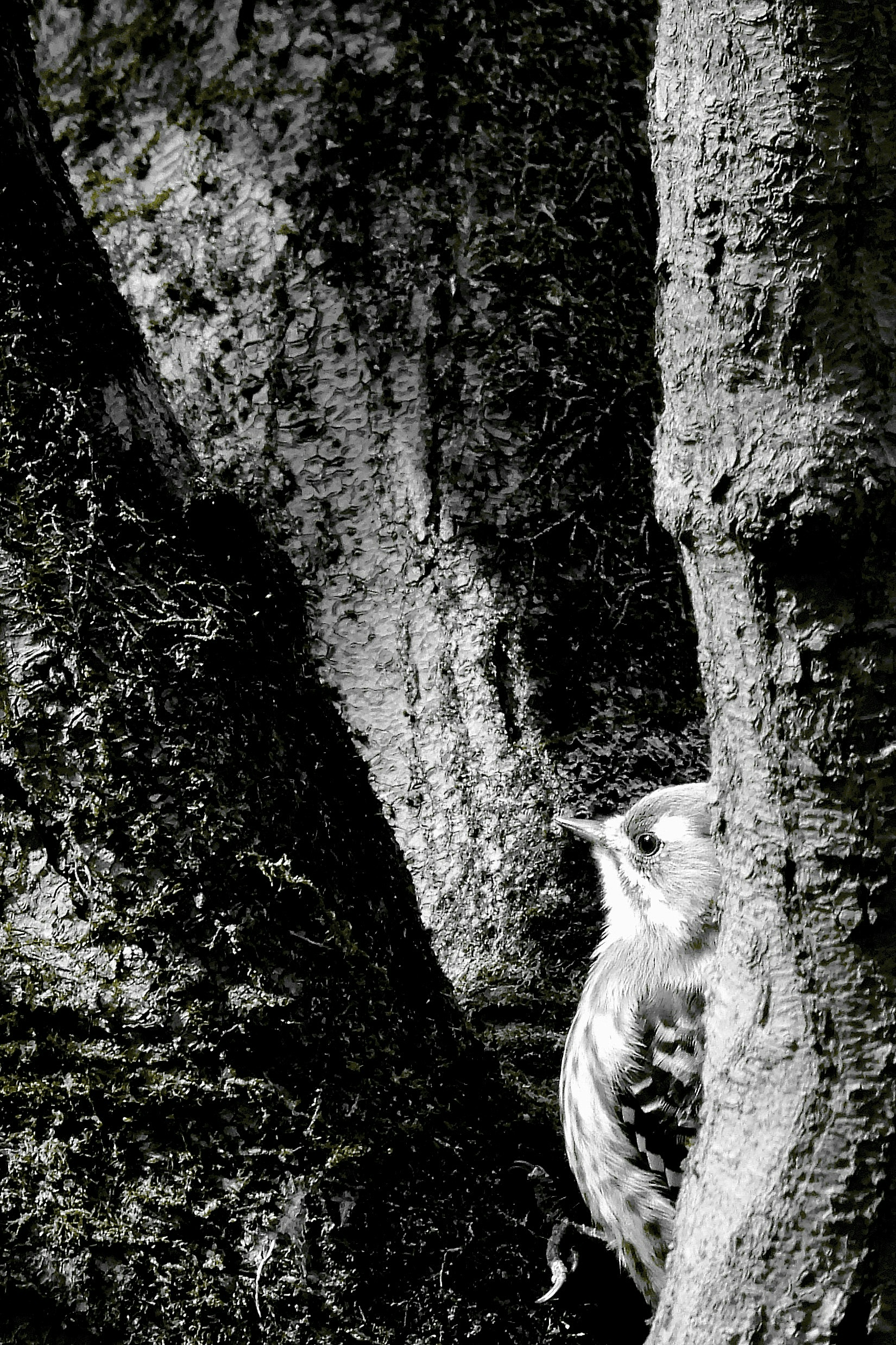 2026-05-mono-report-image-7
