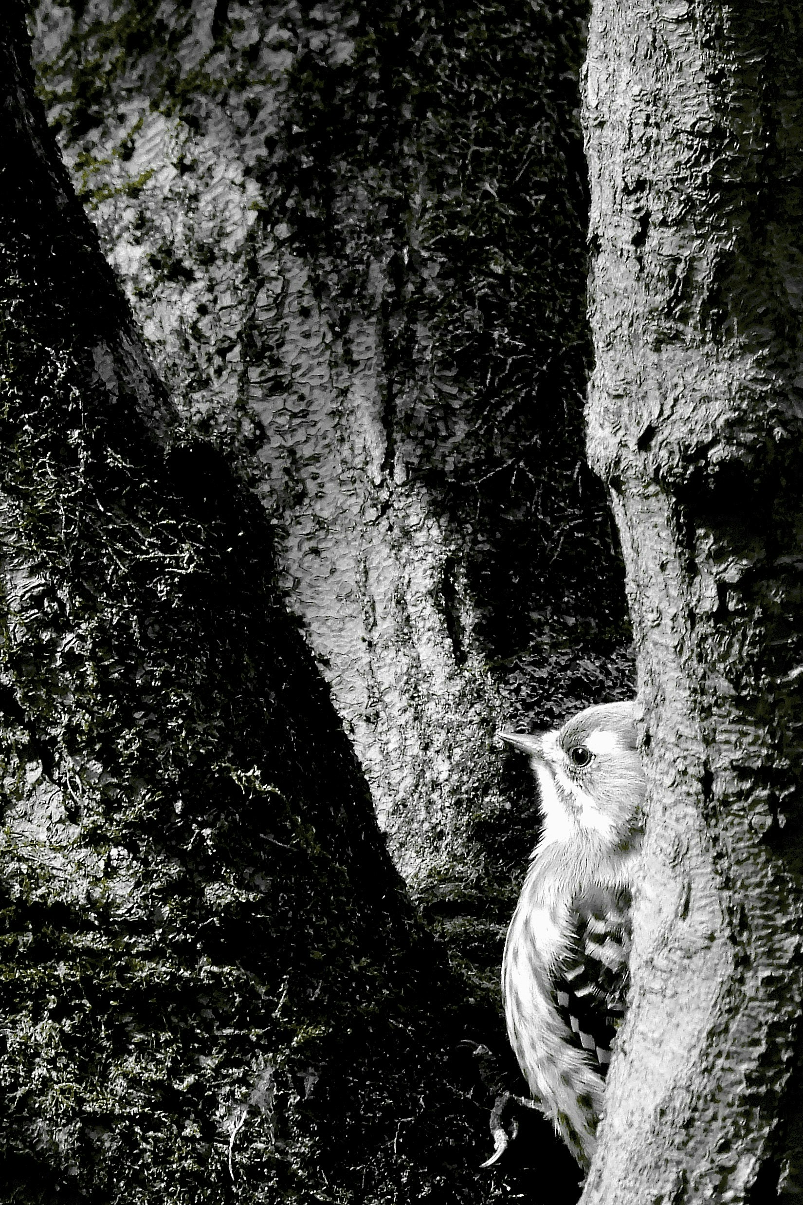 2026-05-mono-report-image-7