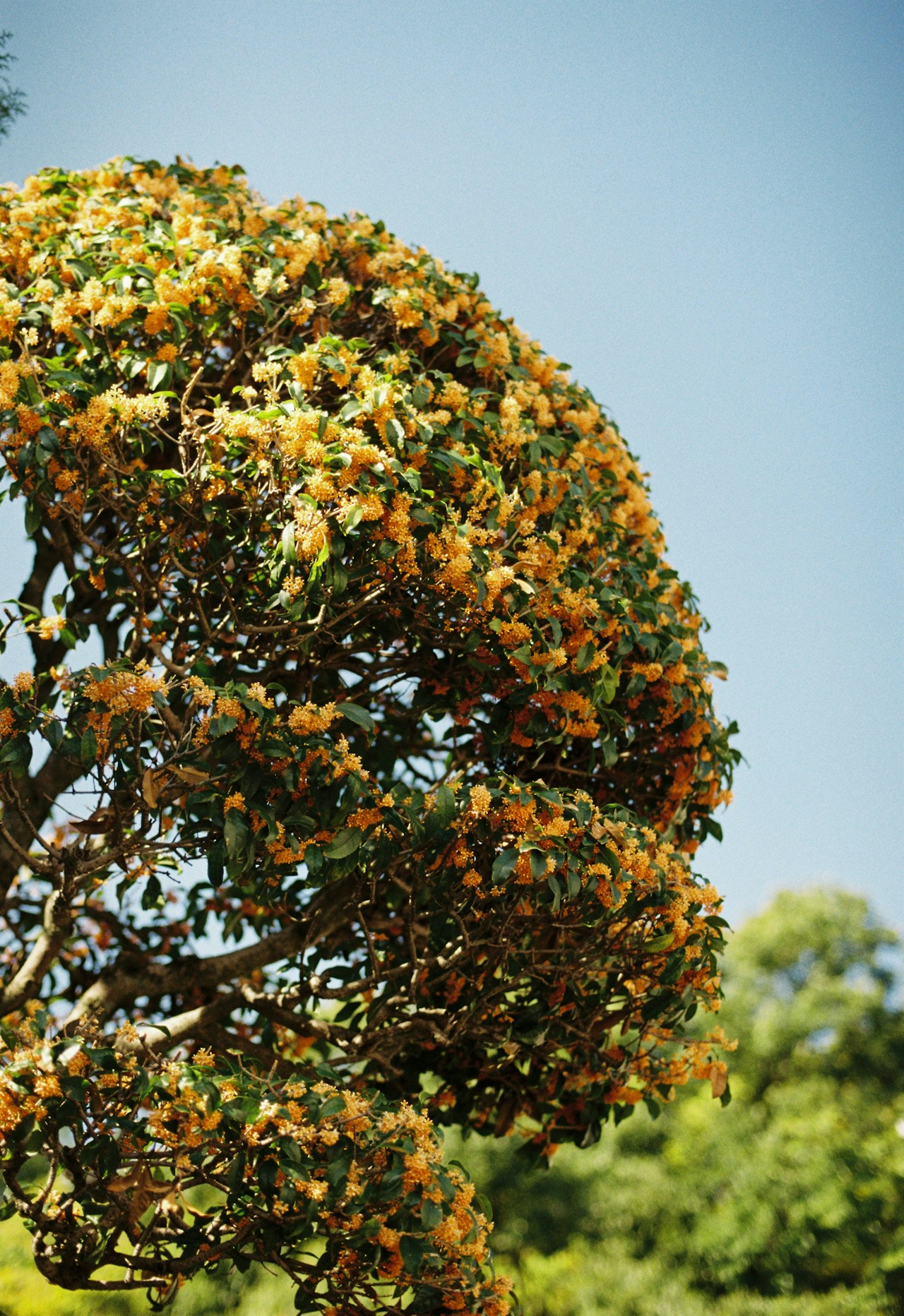 Foto von Shuto