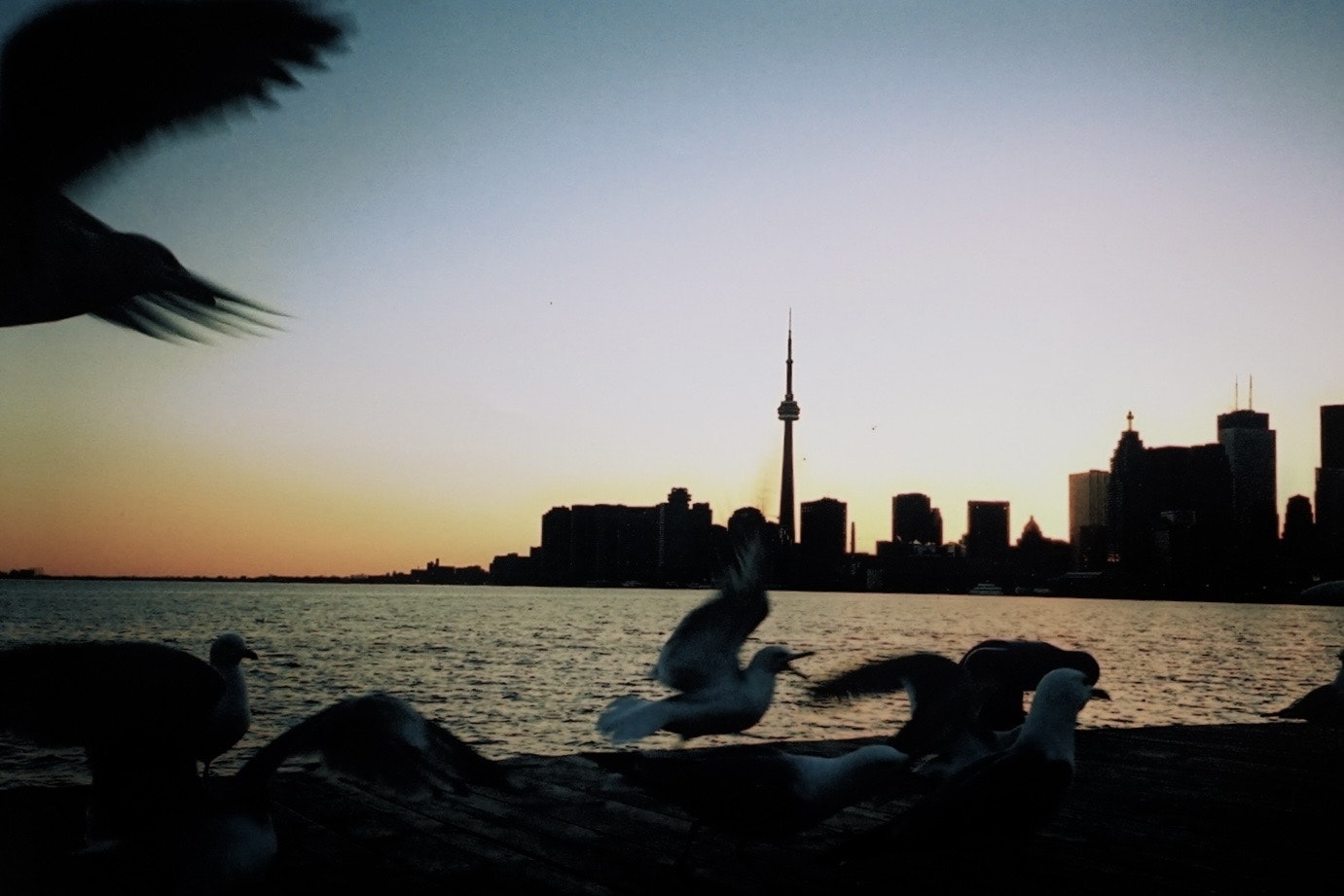 2024-09-vintage-camera-boom-analog-charm-image-12