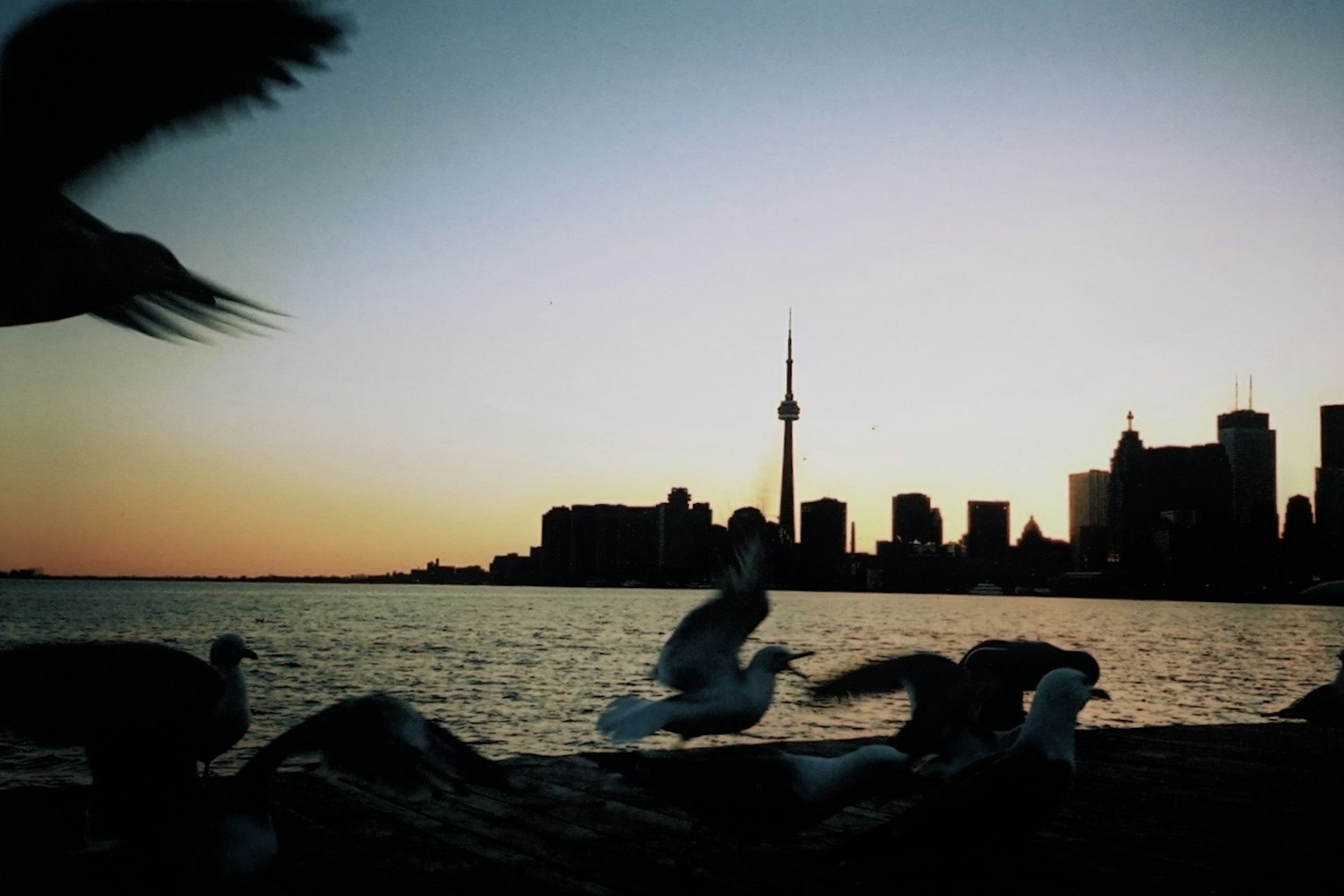 2024-09-vintage-camera-boom-analog-charm-image-12