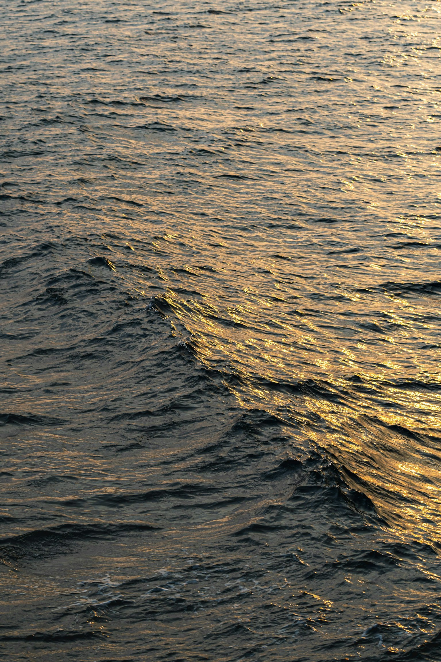 2025-07-july-diary-image-10