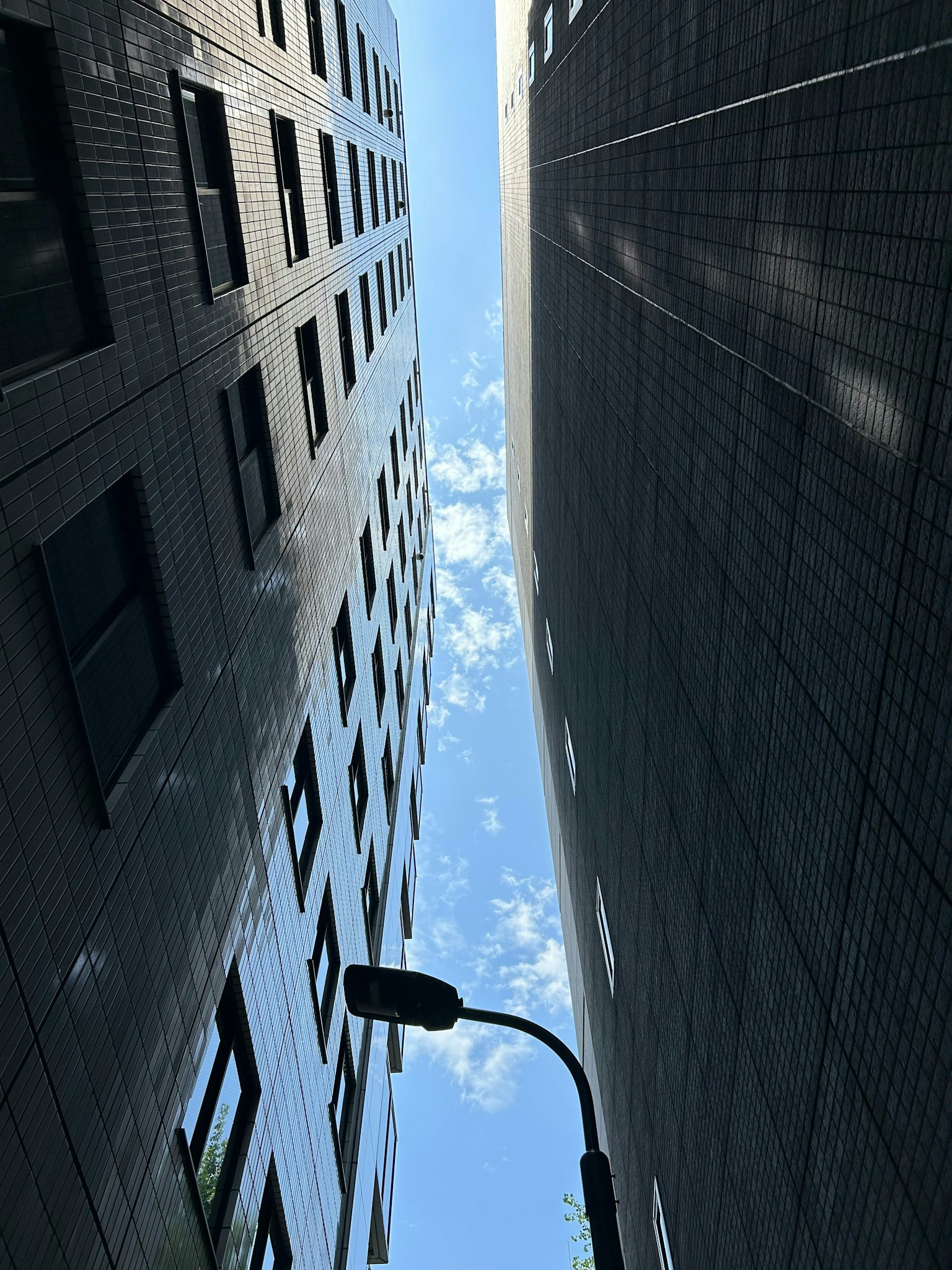 2025-08-what-is-seeing-image-8