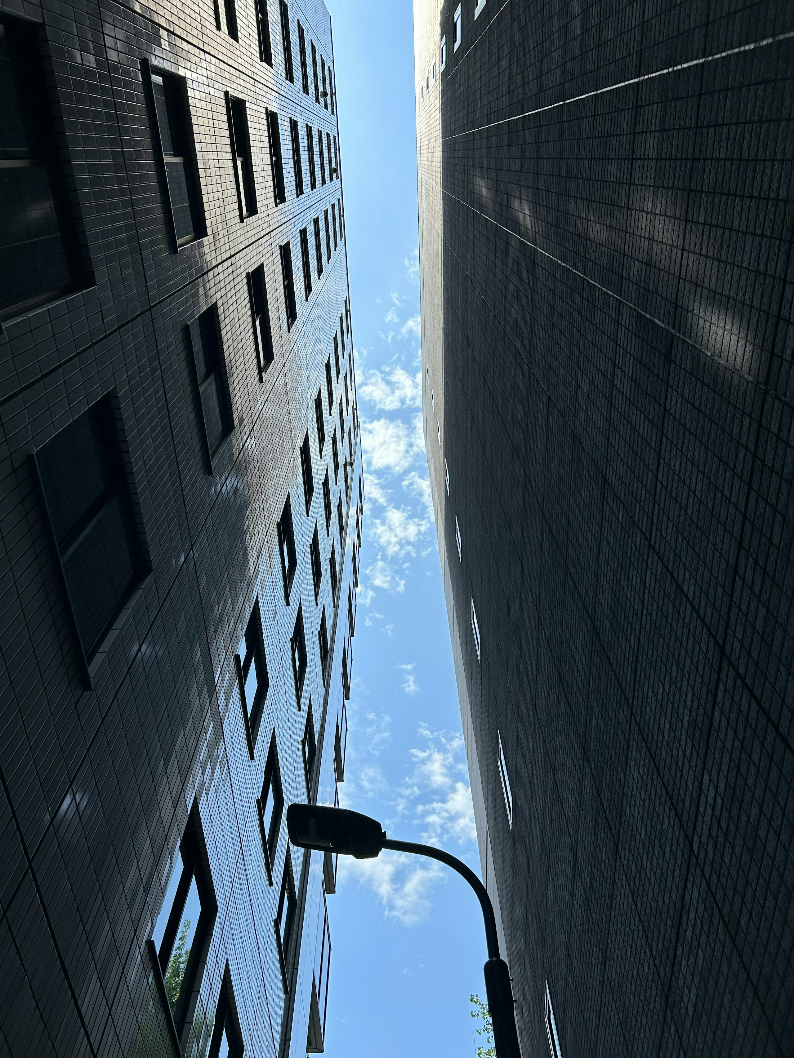 Photo by なりるる
