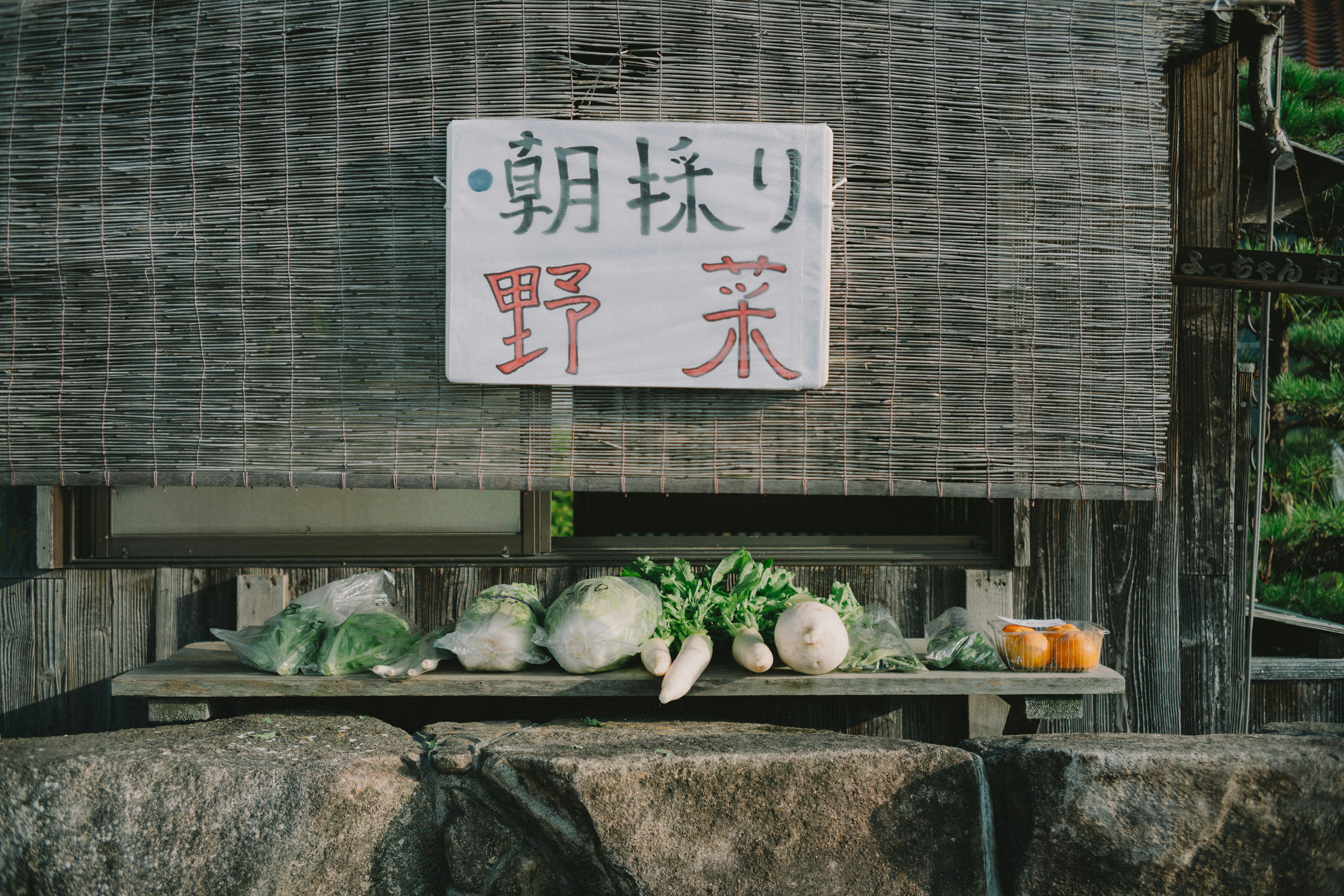 2025-11-everyday-is-interesting-cover-image