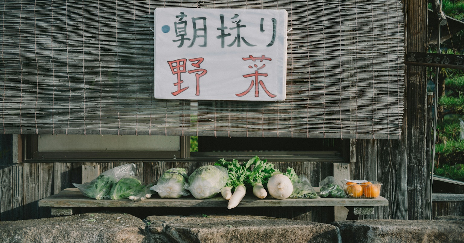 2025-11-everyday-is-interesting-cover-image