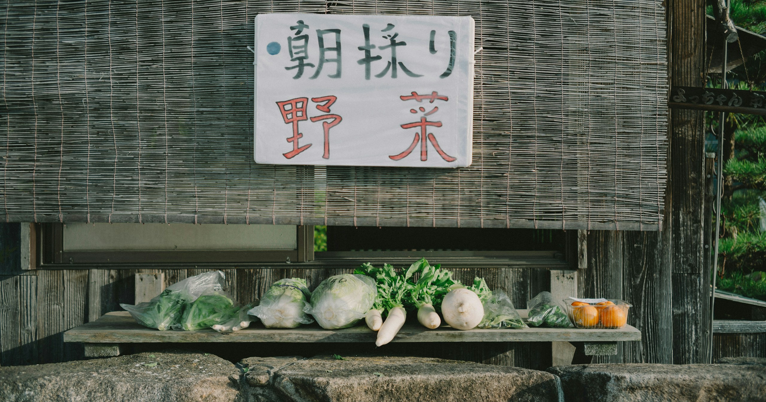 “ふだんを撮る”が一番むずかしくて、一番おもしろい | Knowledge #394