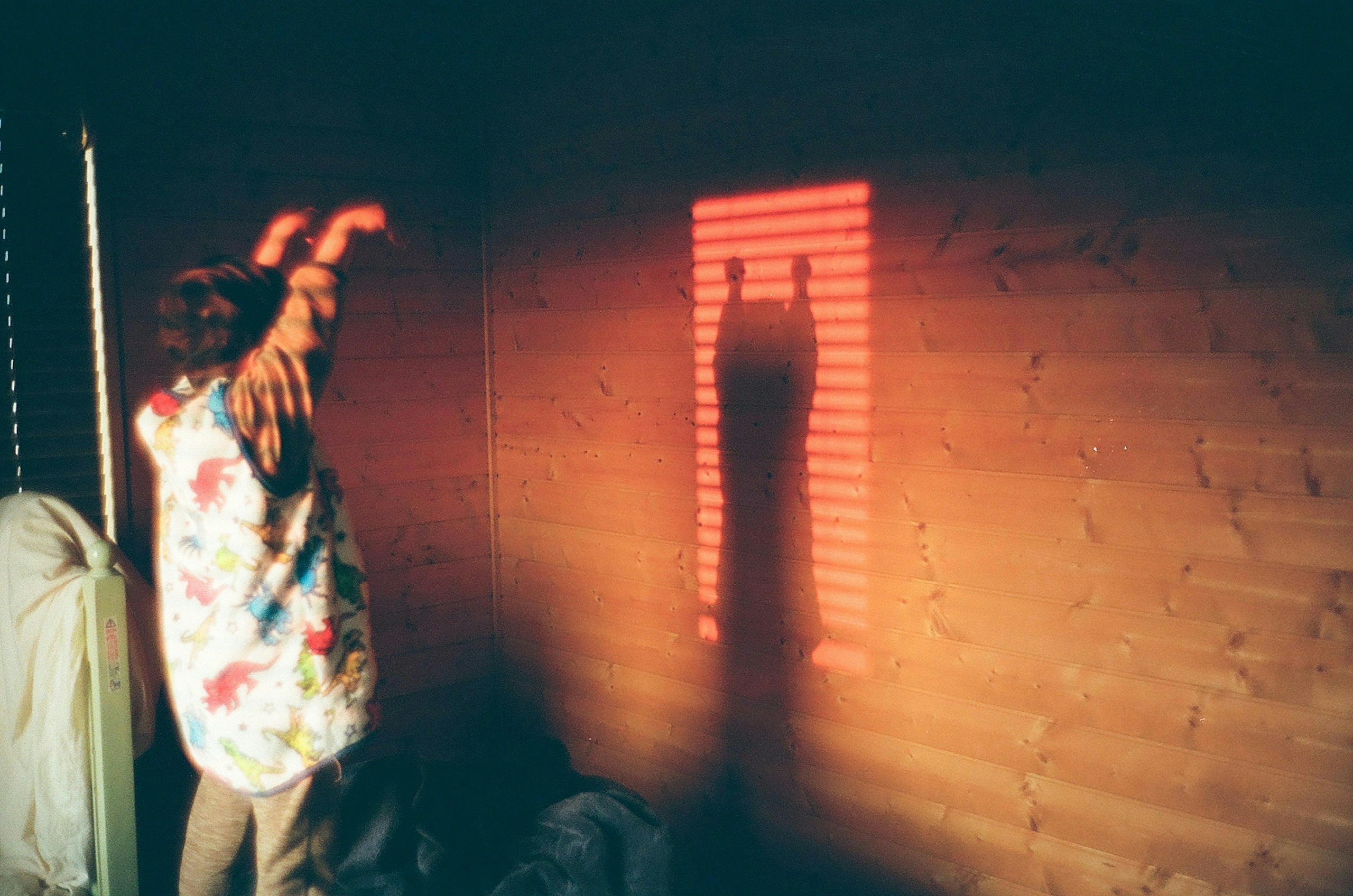 2025-05-shadow-image-4