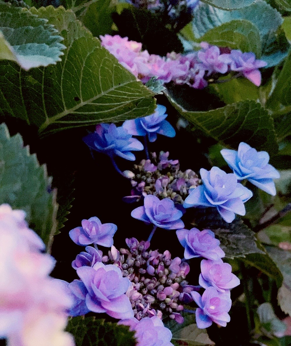 Image by ezuka