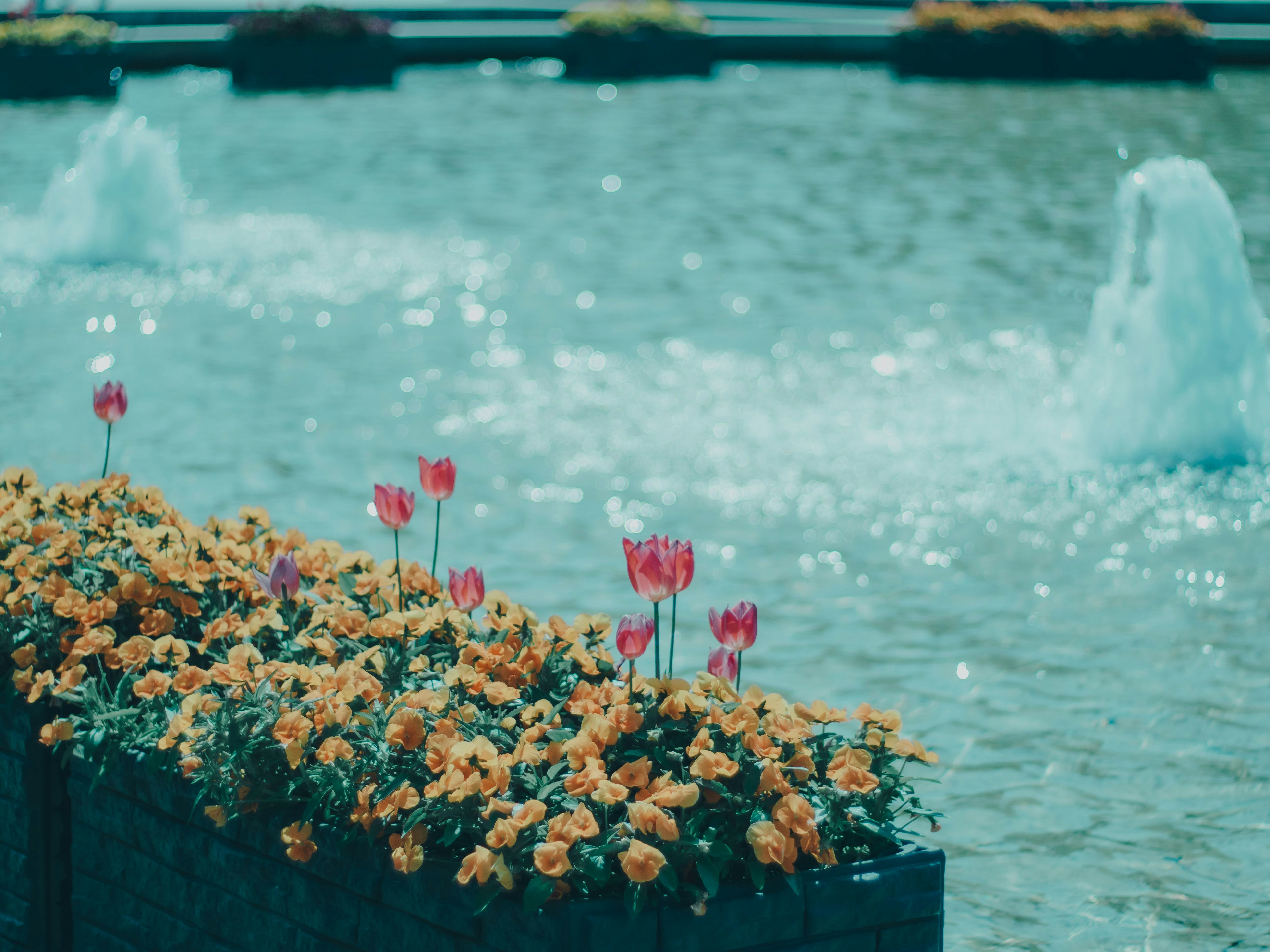 2026-04-spring-park-hidden-gems-cover-image