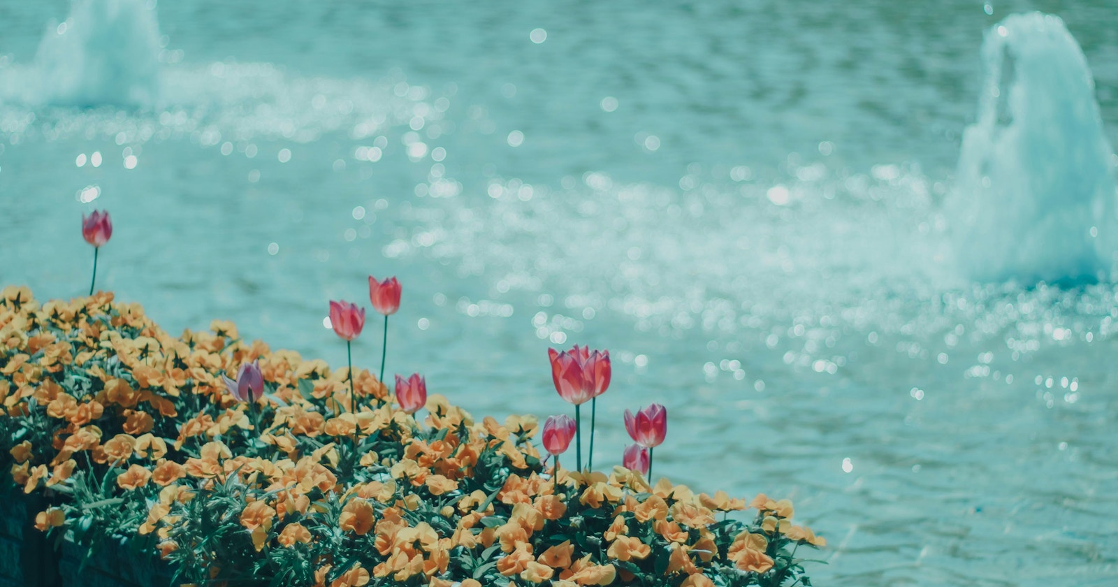 Spring Parks: More Than Just Flowers | Focus #651